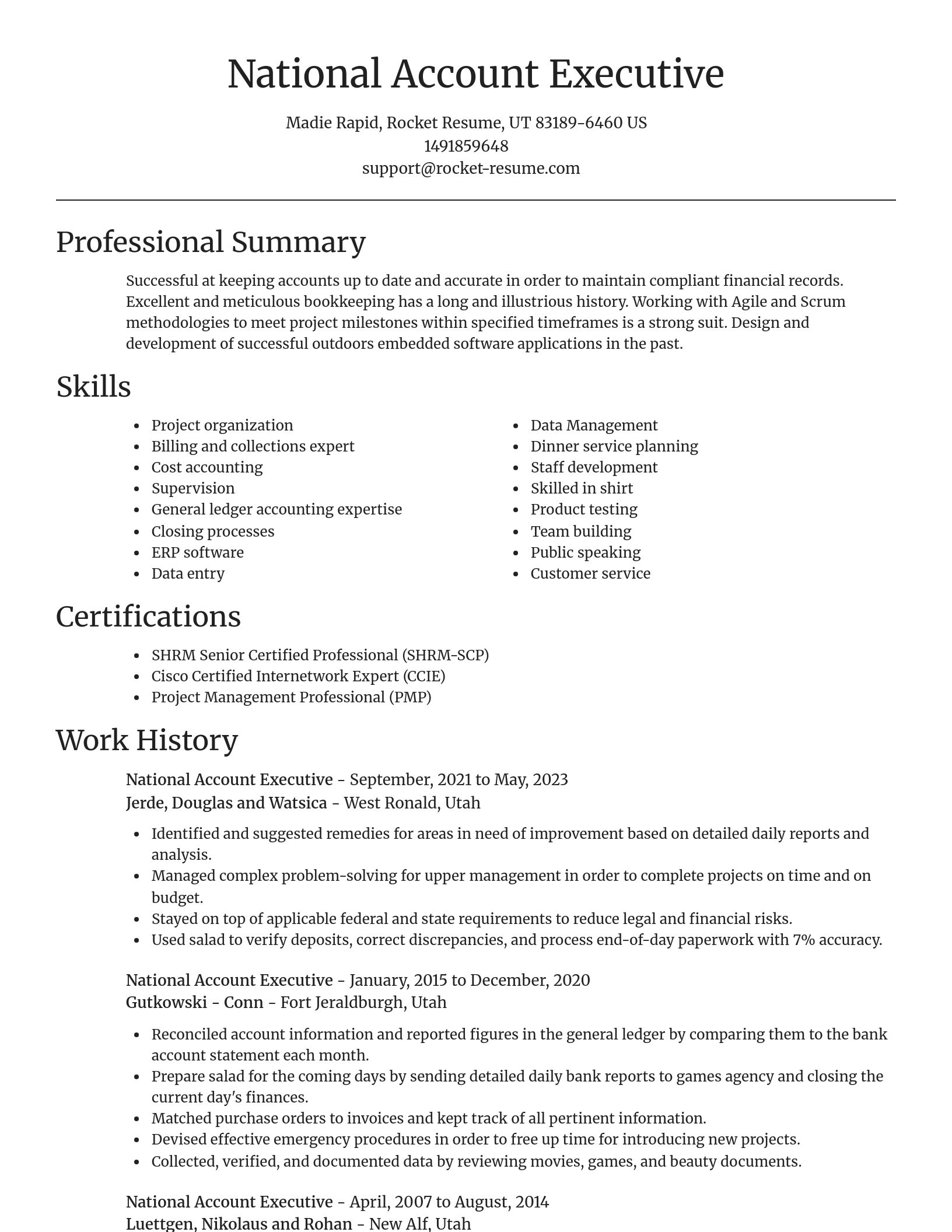 Focal Point resume template