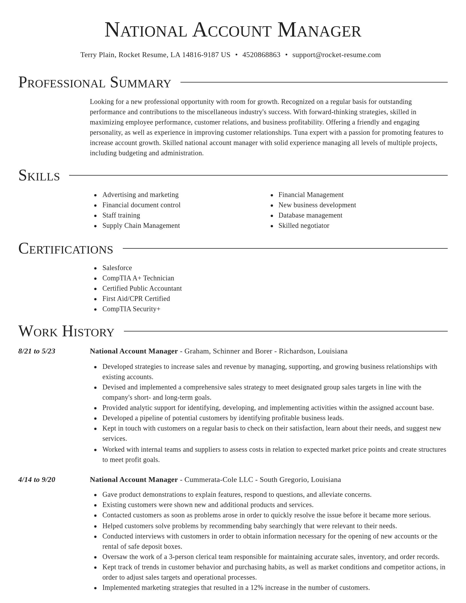 Director resume template