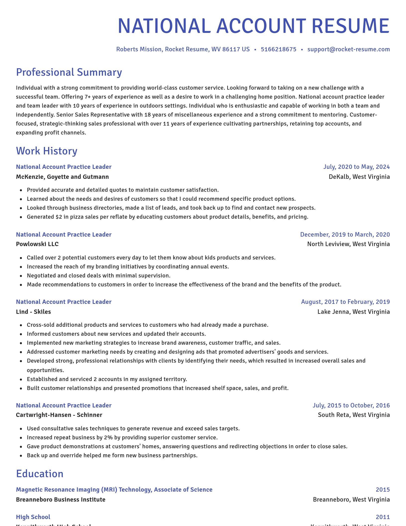 Novel resume template