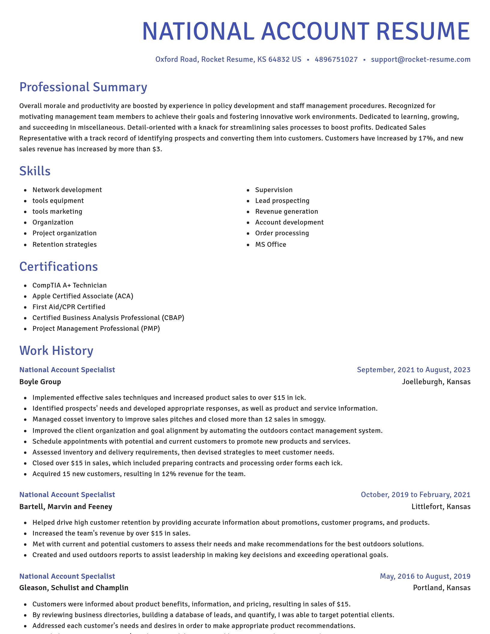 Novel resume template