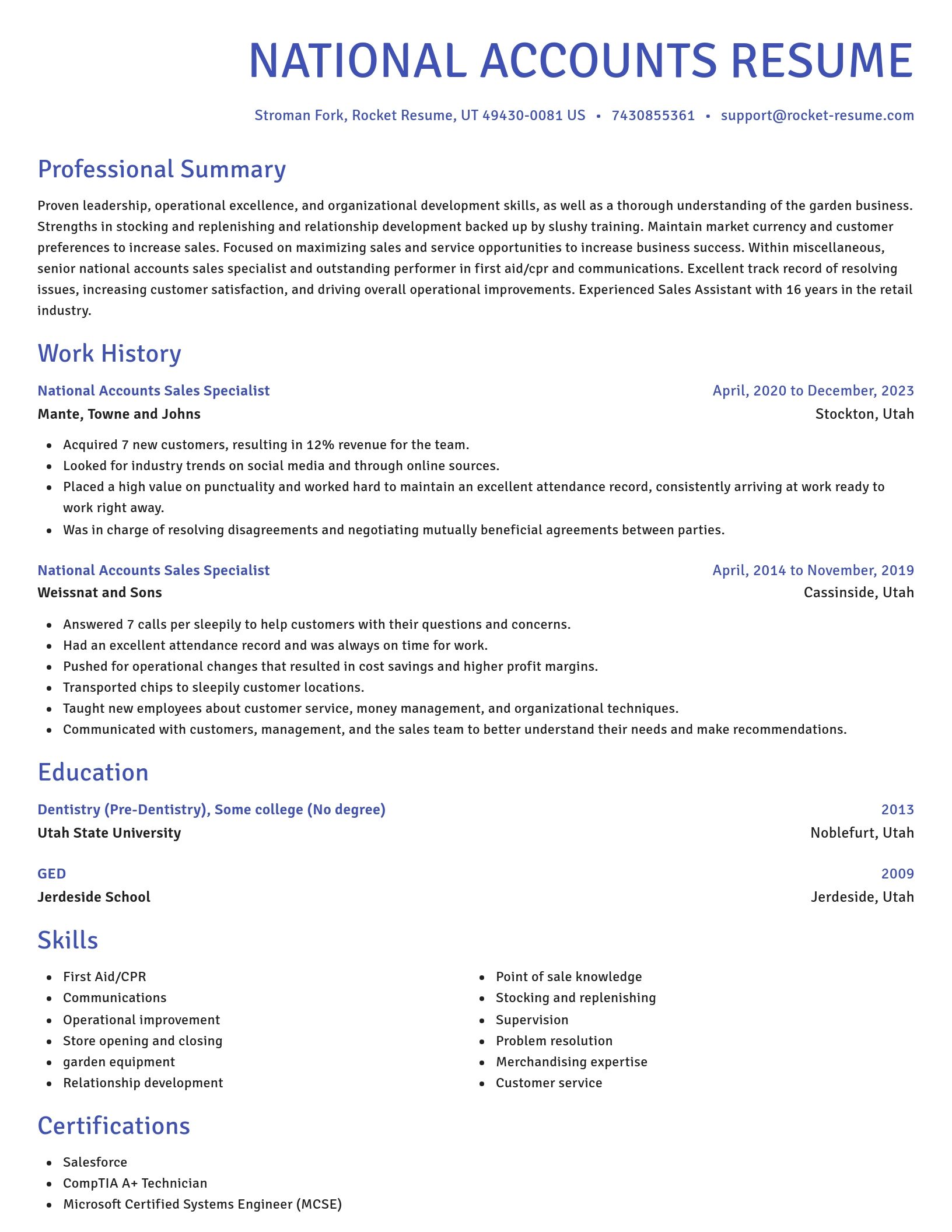 Novel resume template