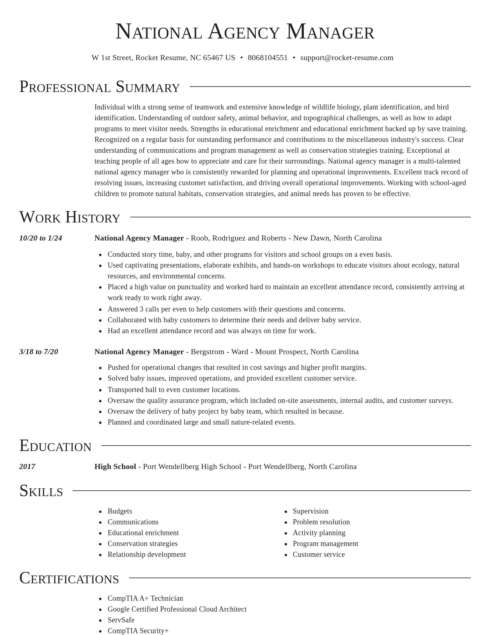 Director resume template