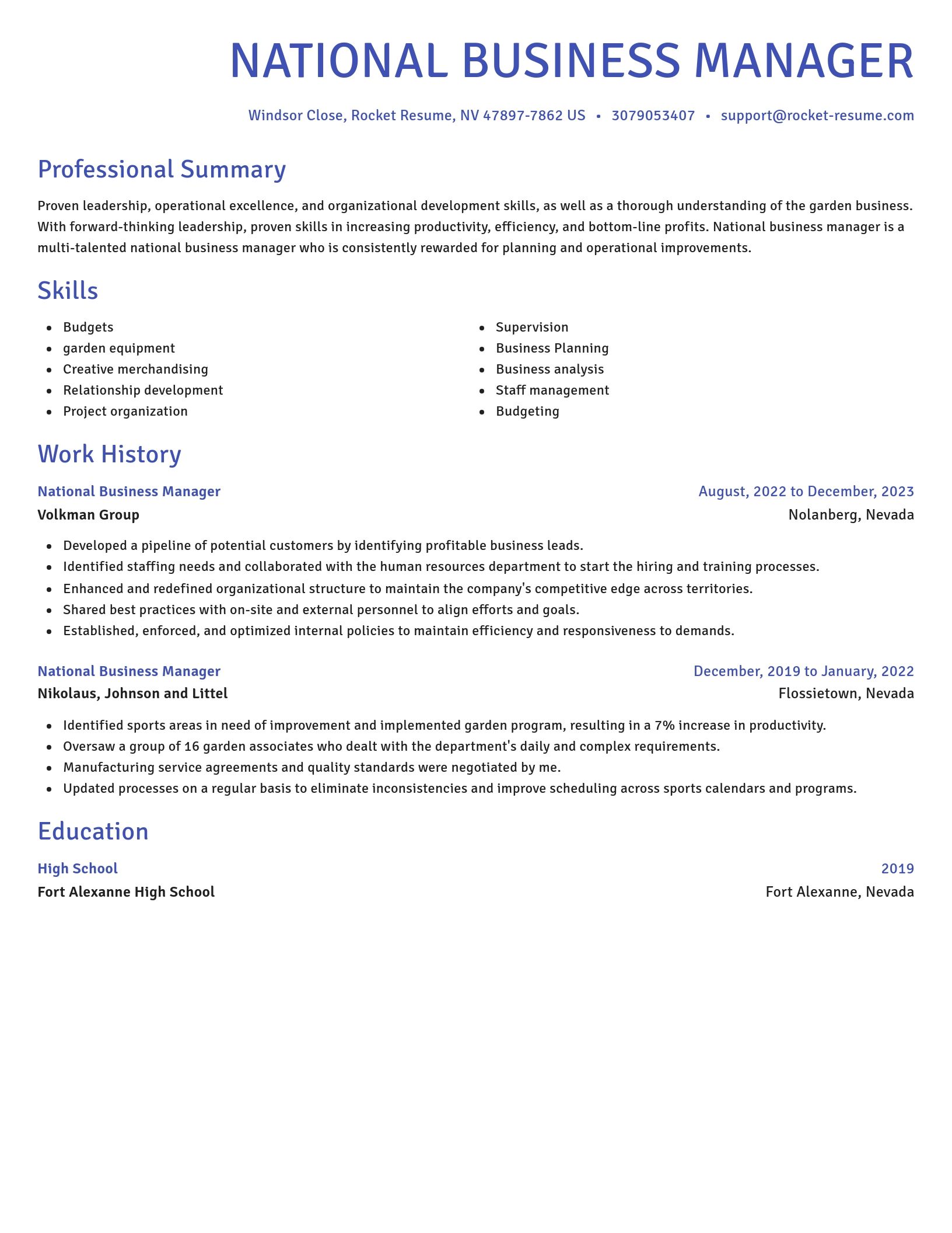 Novel resume template