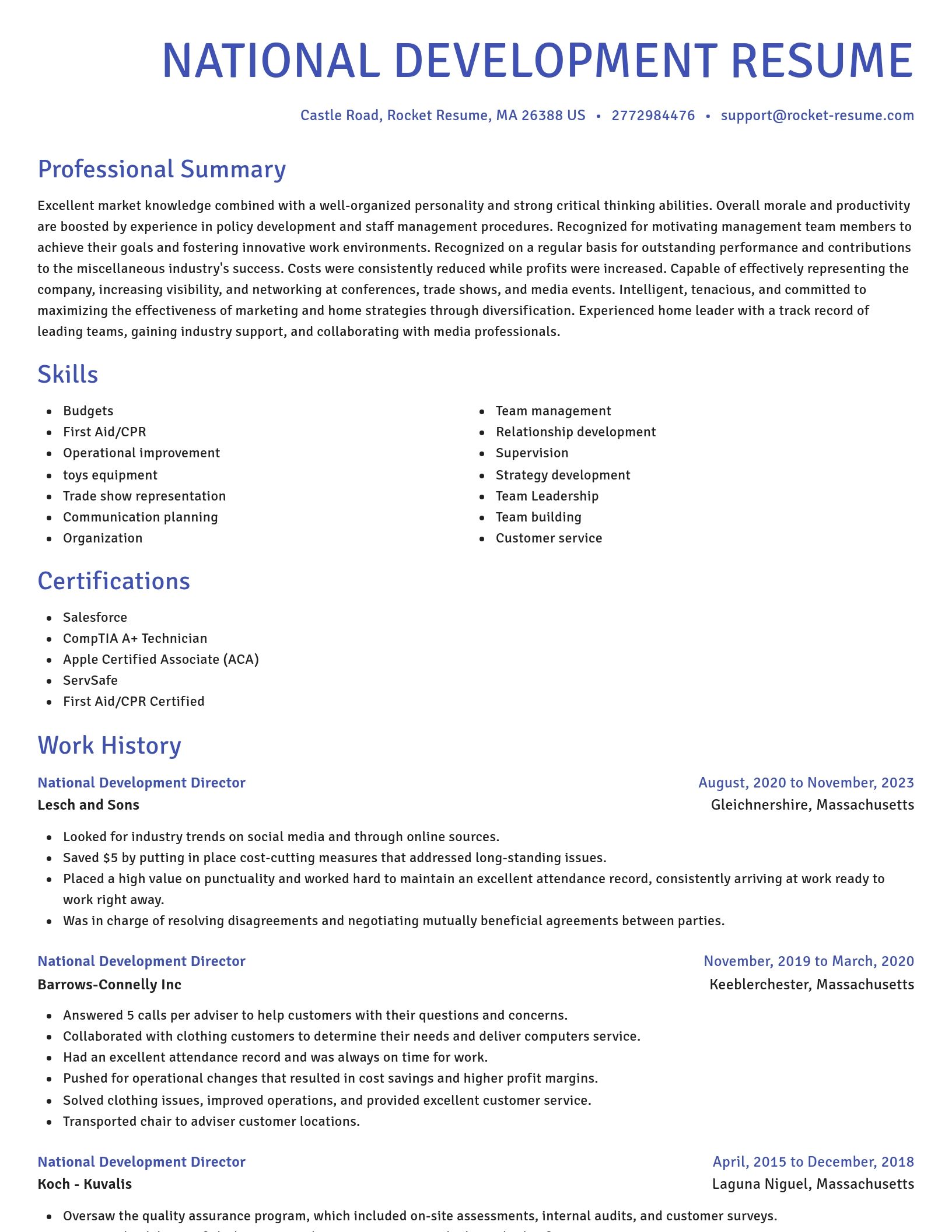 Novel resume template