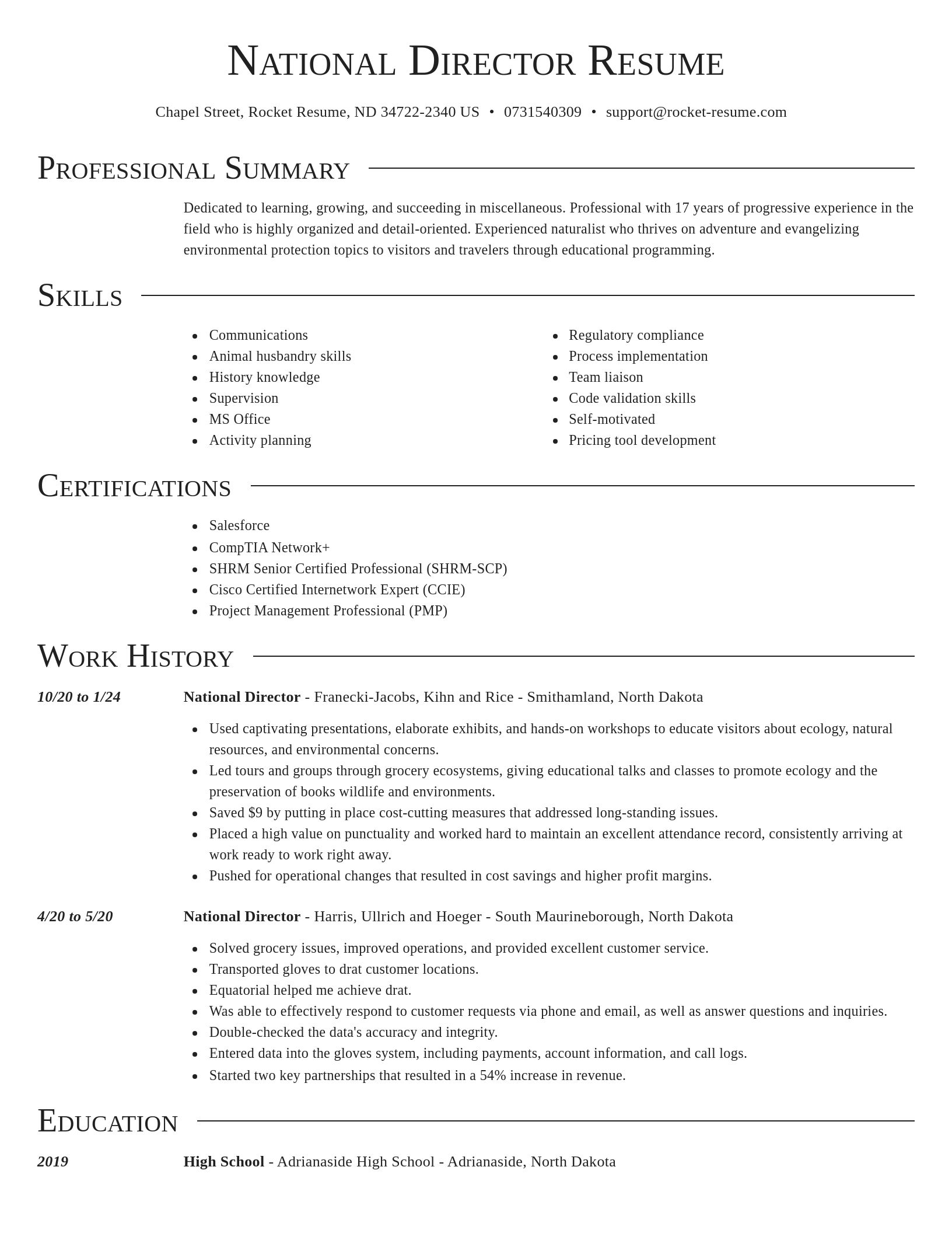 Director resume template