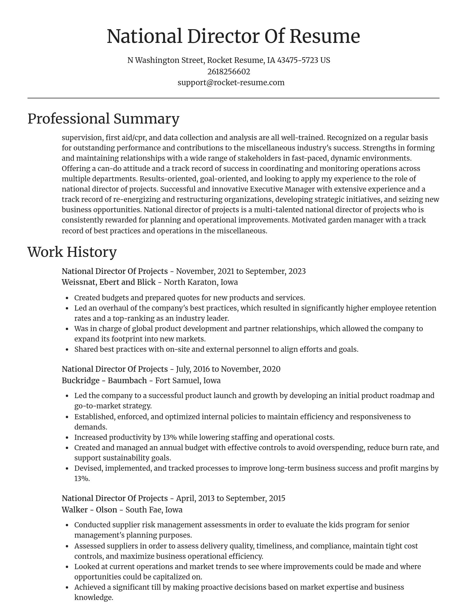 Focal Point resume template