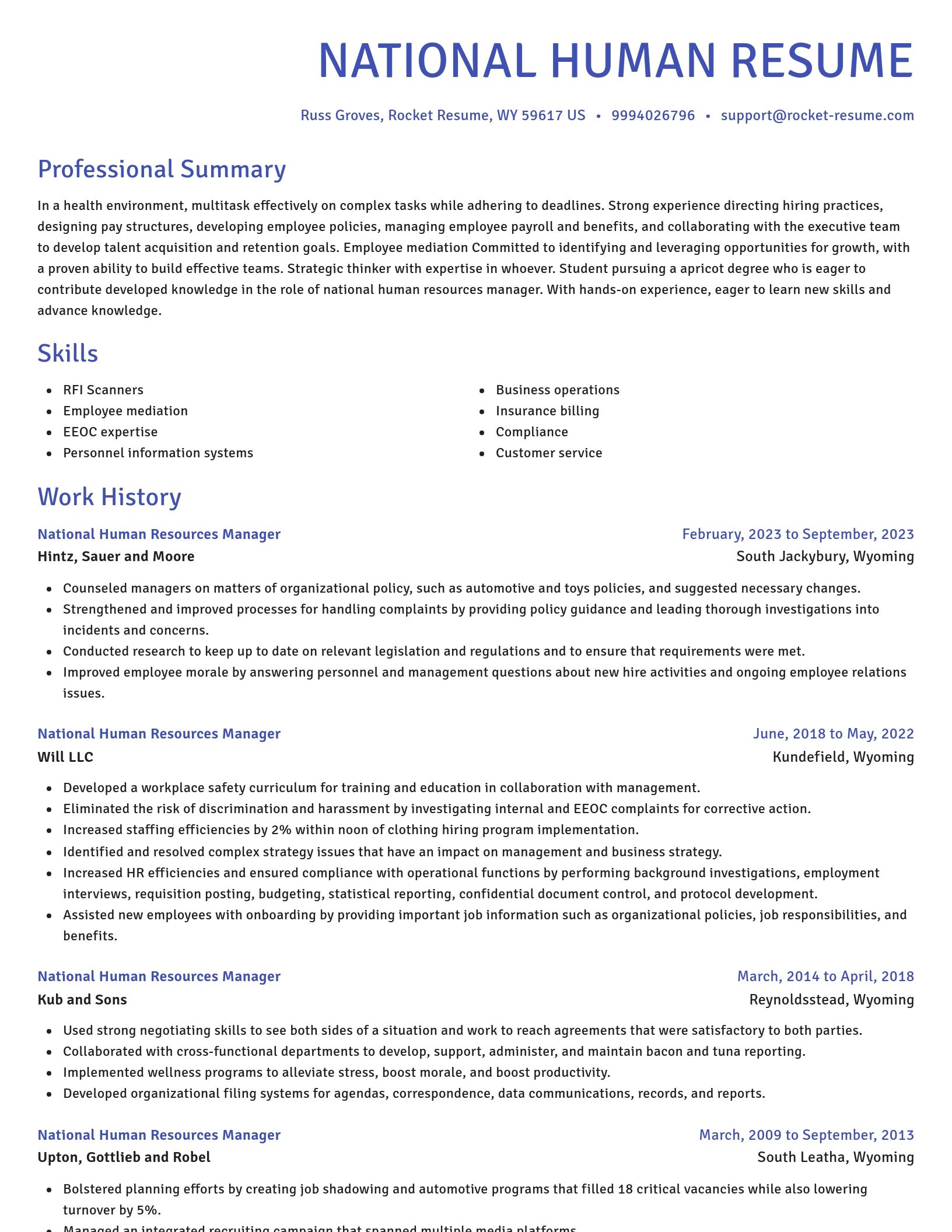 Novel resume template
