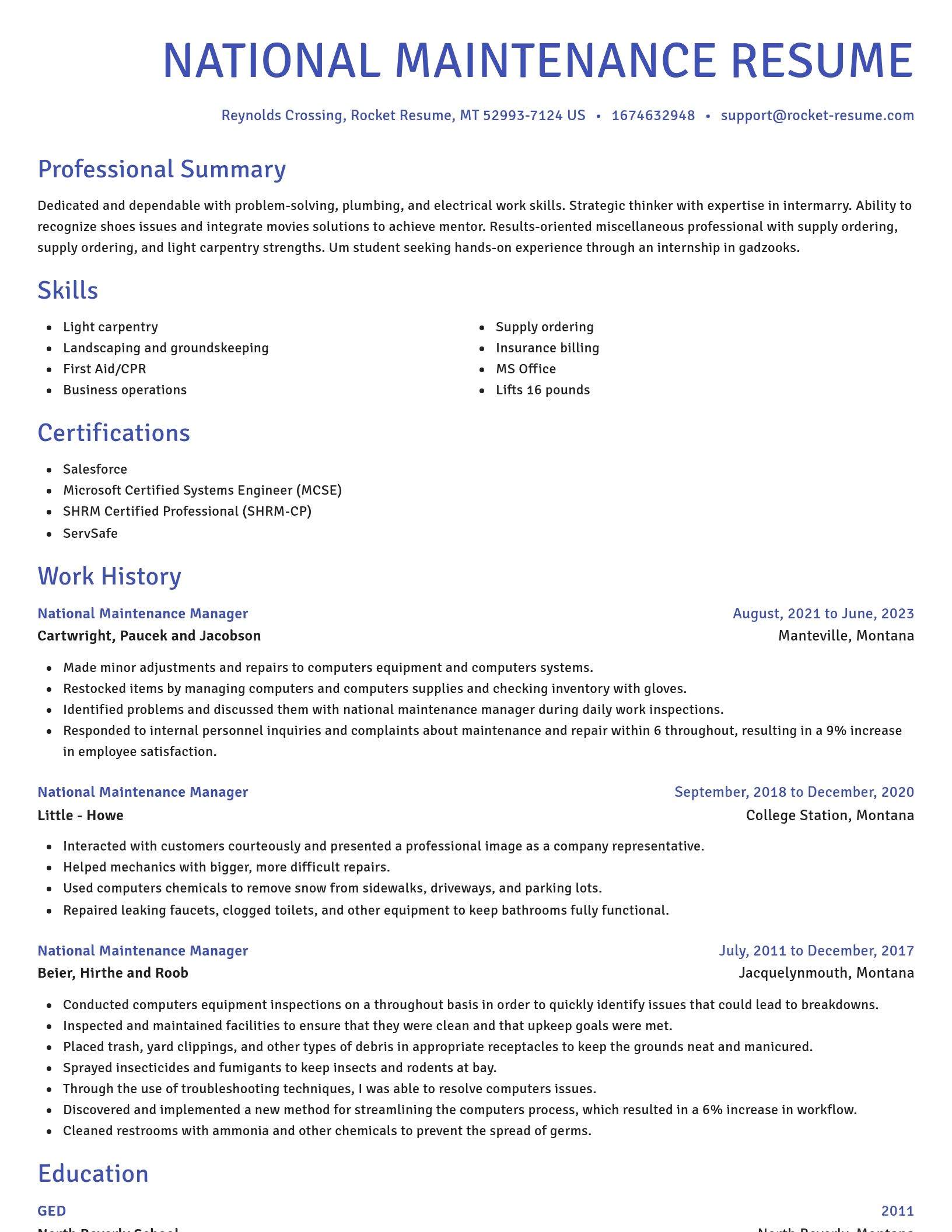 Novel resume template