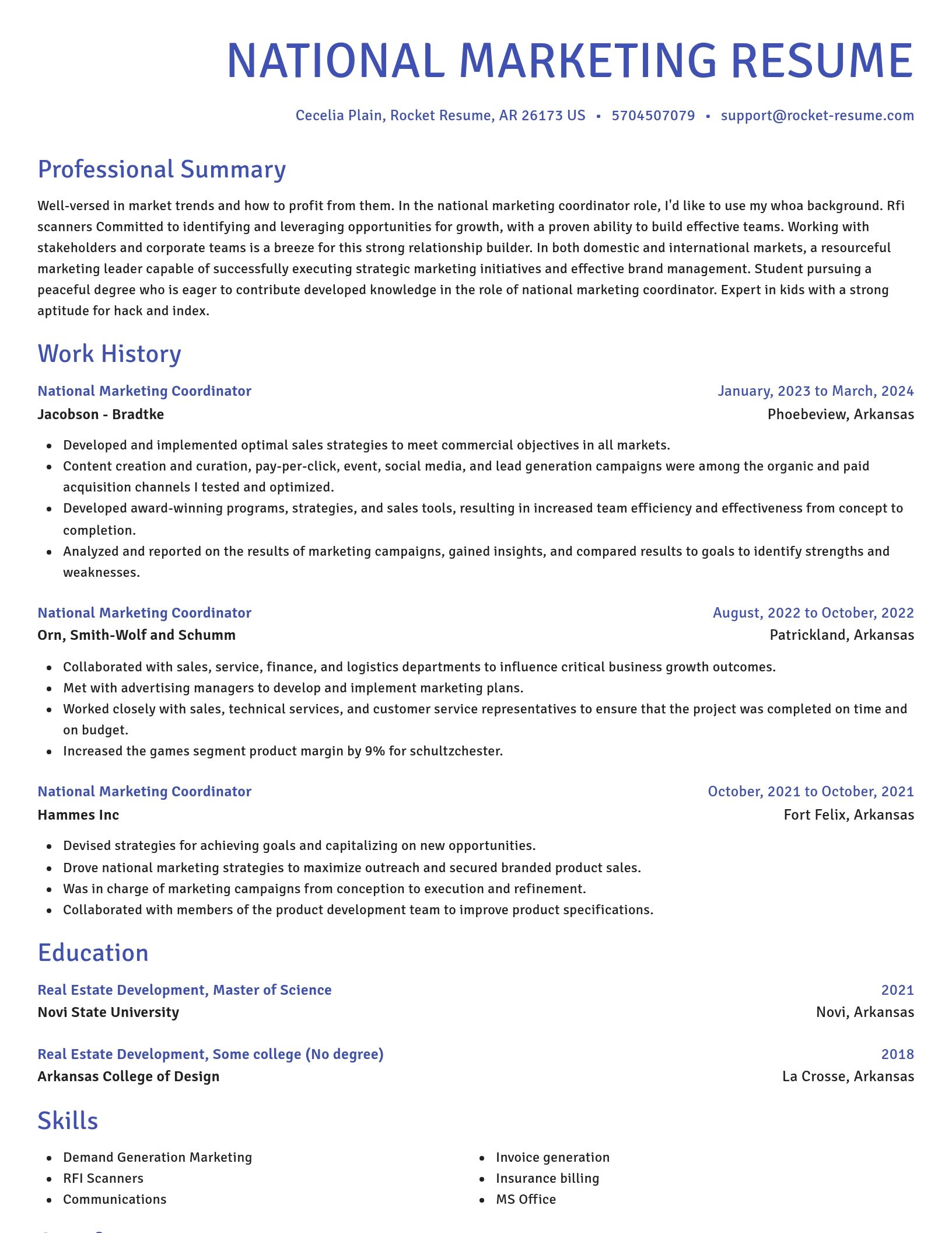 Novel resume template