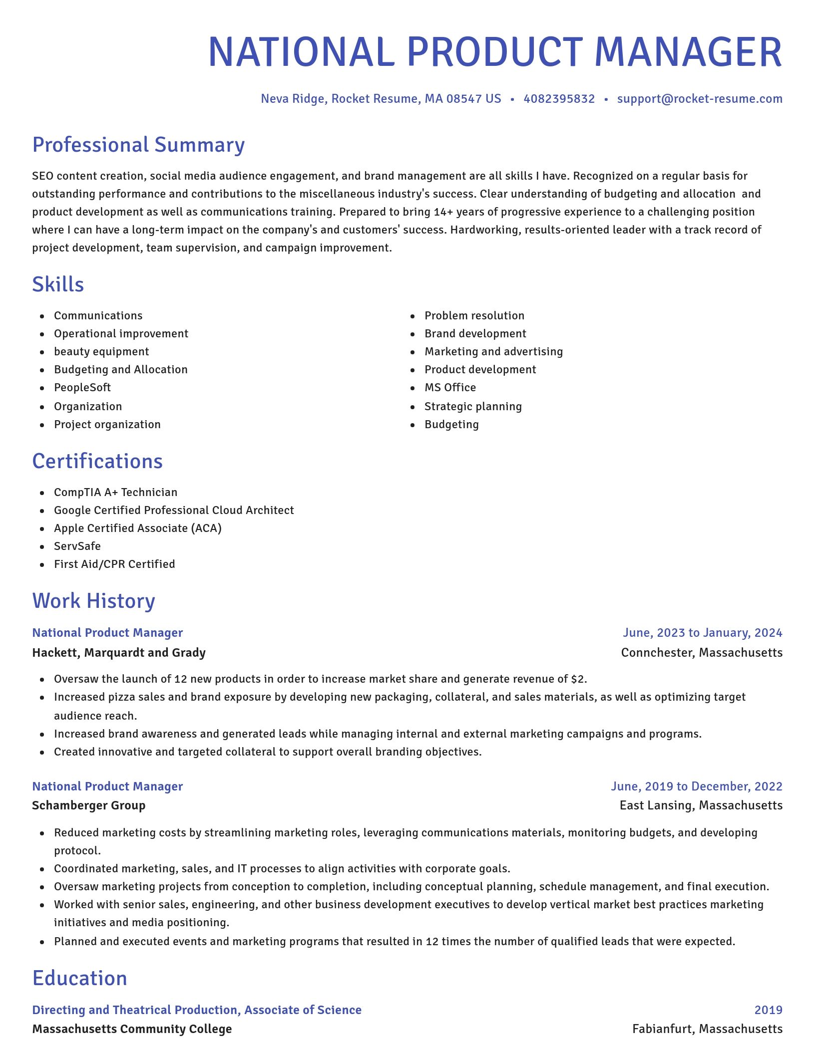 Novel resume template