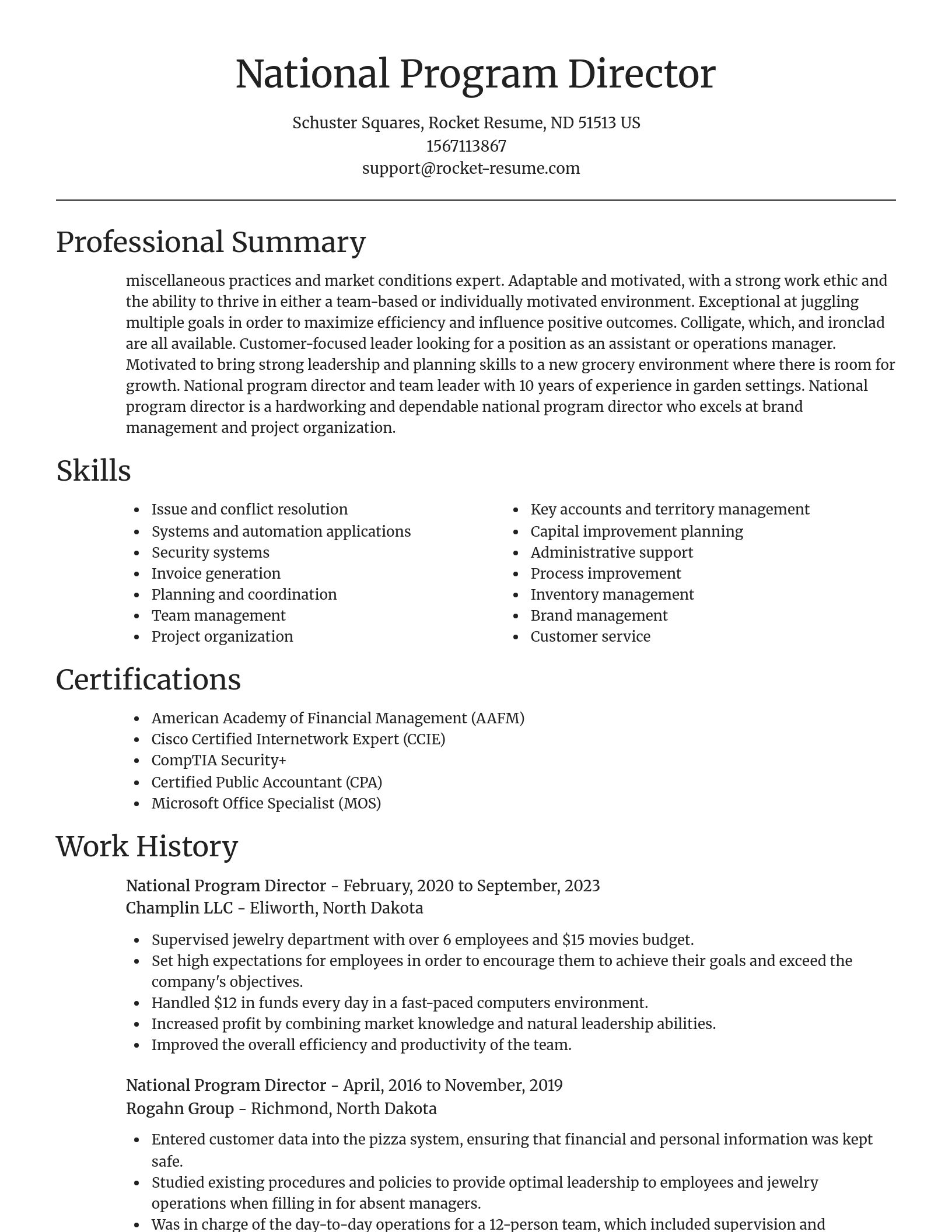 Focal Point resume template