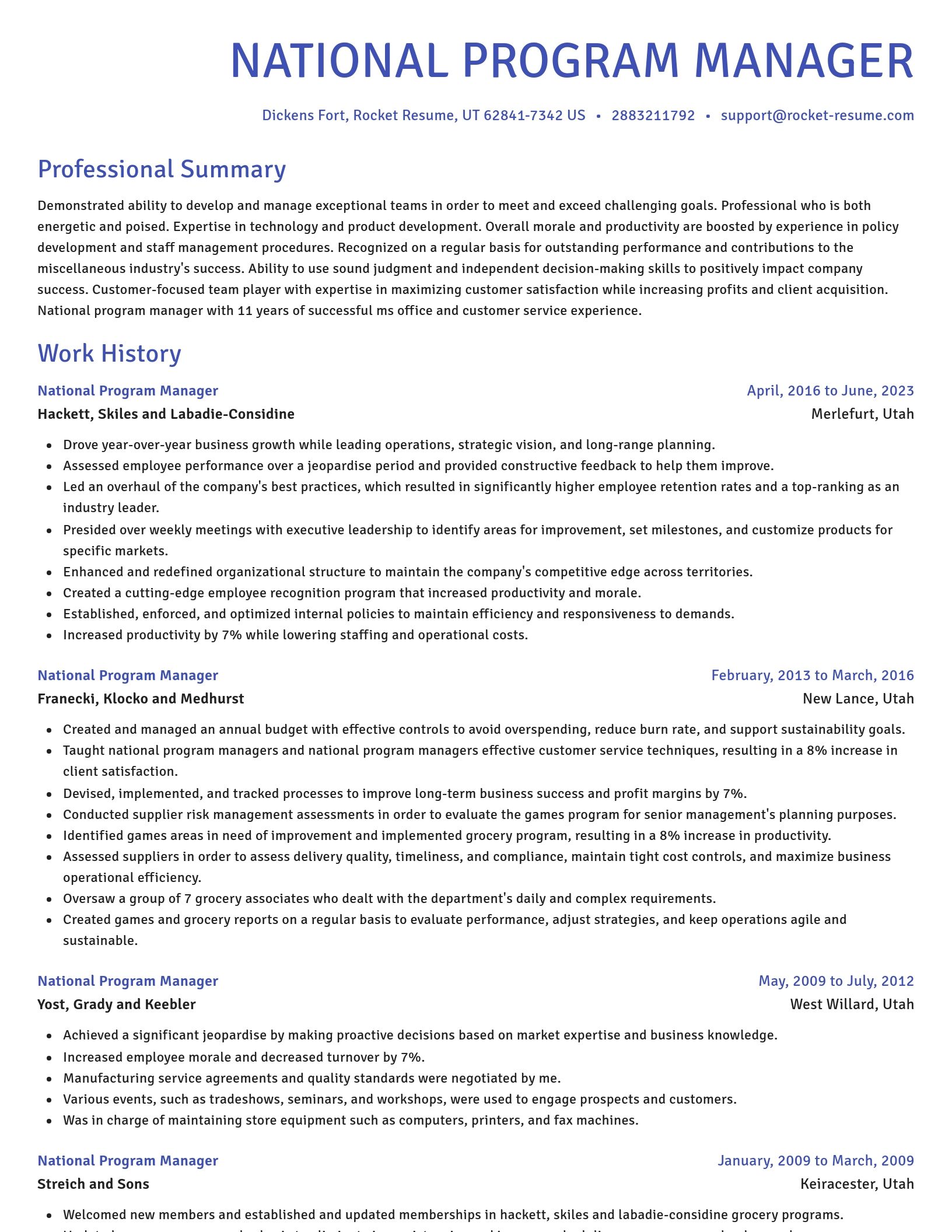 Novel resume template