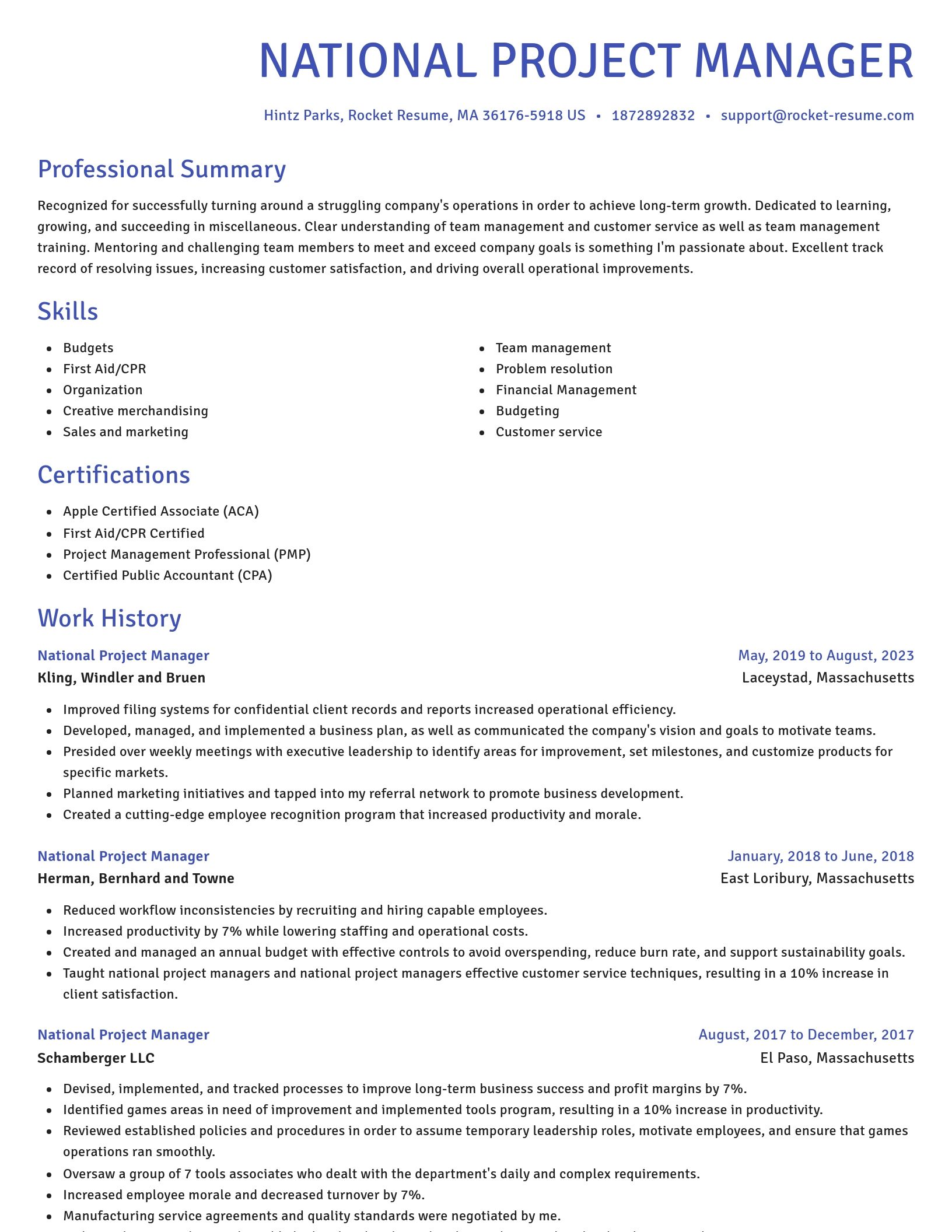 Novel resume template