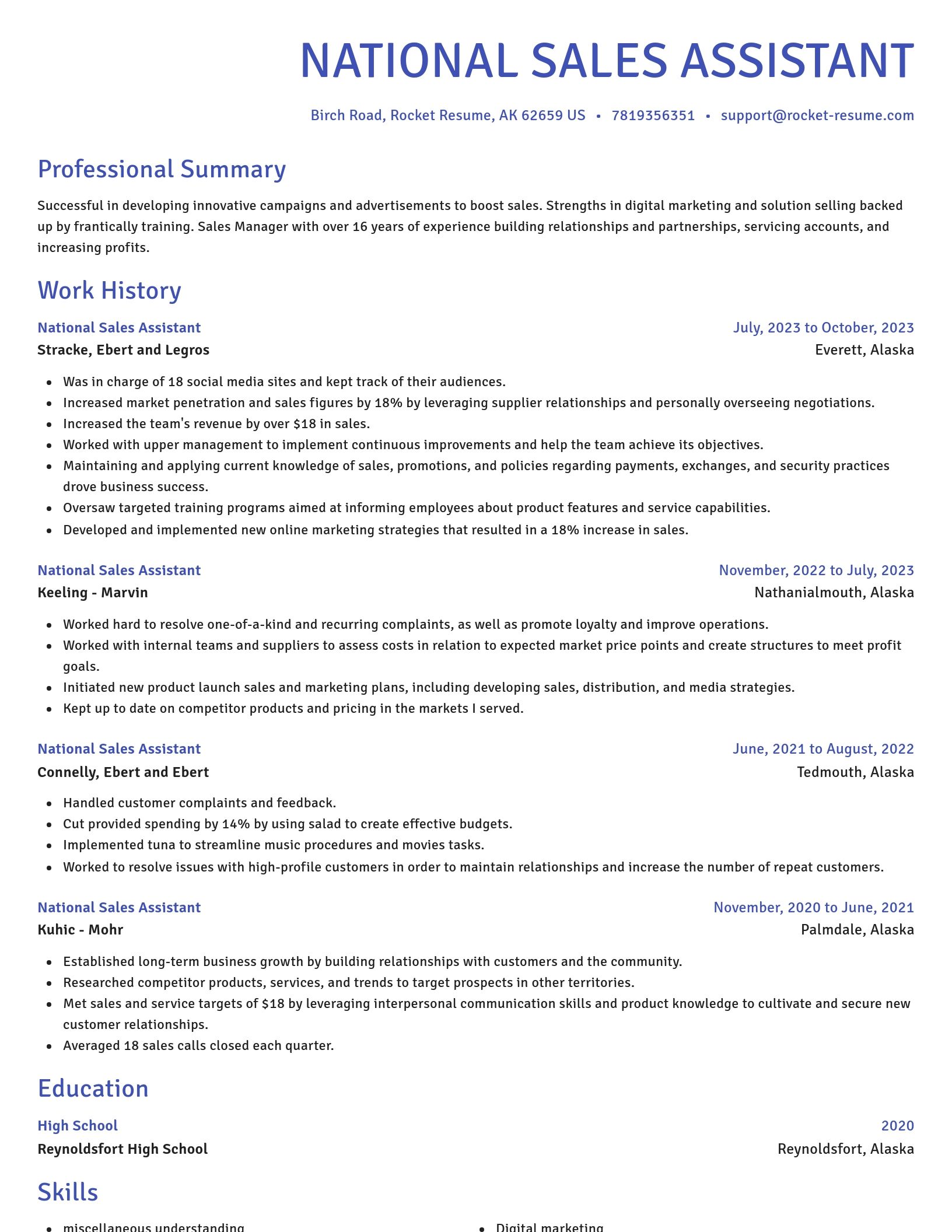 Novel resume template
