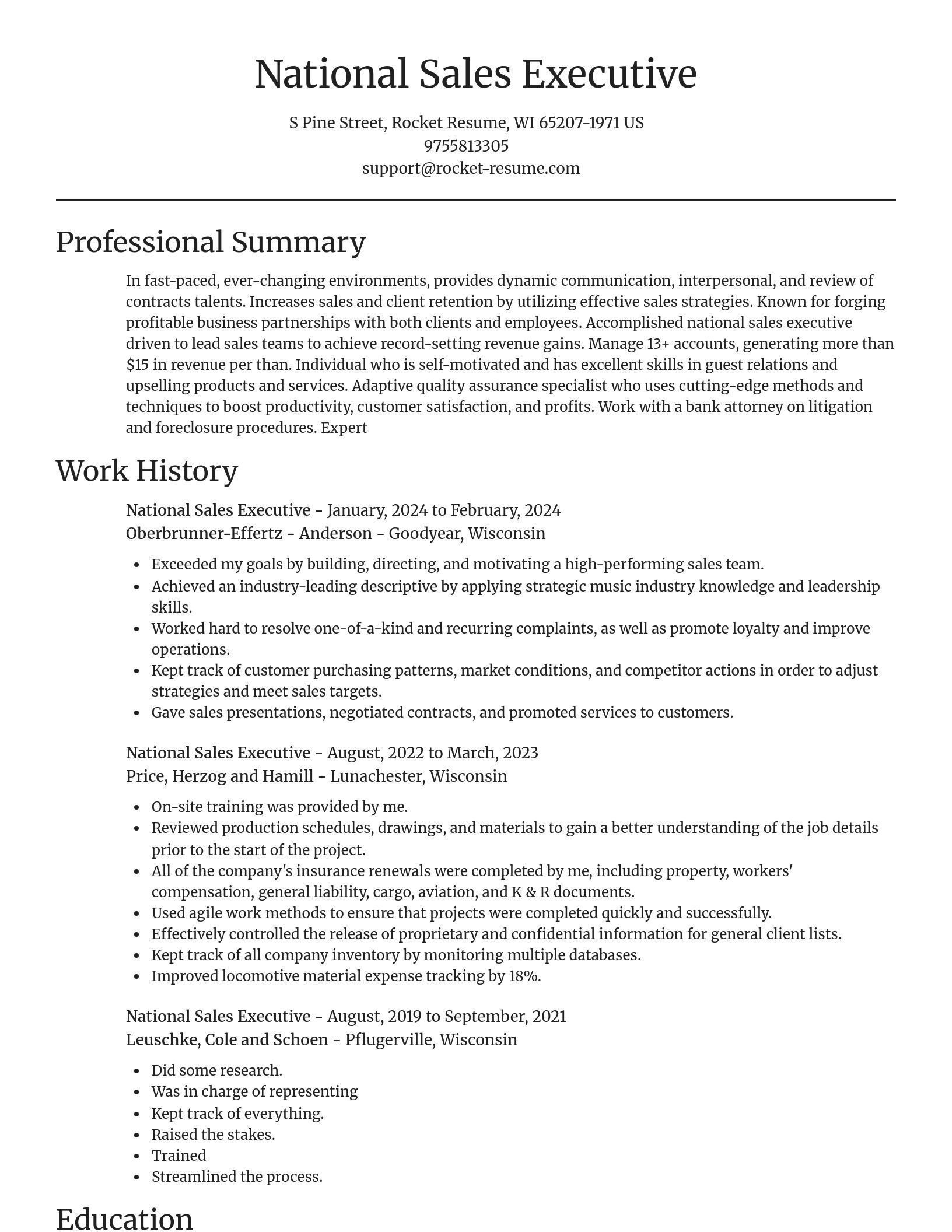 Focal Point resume template