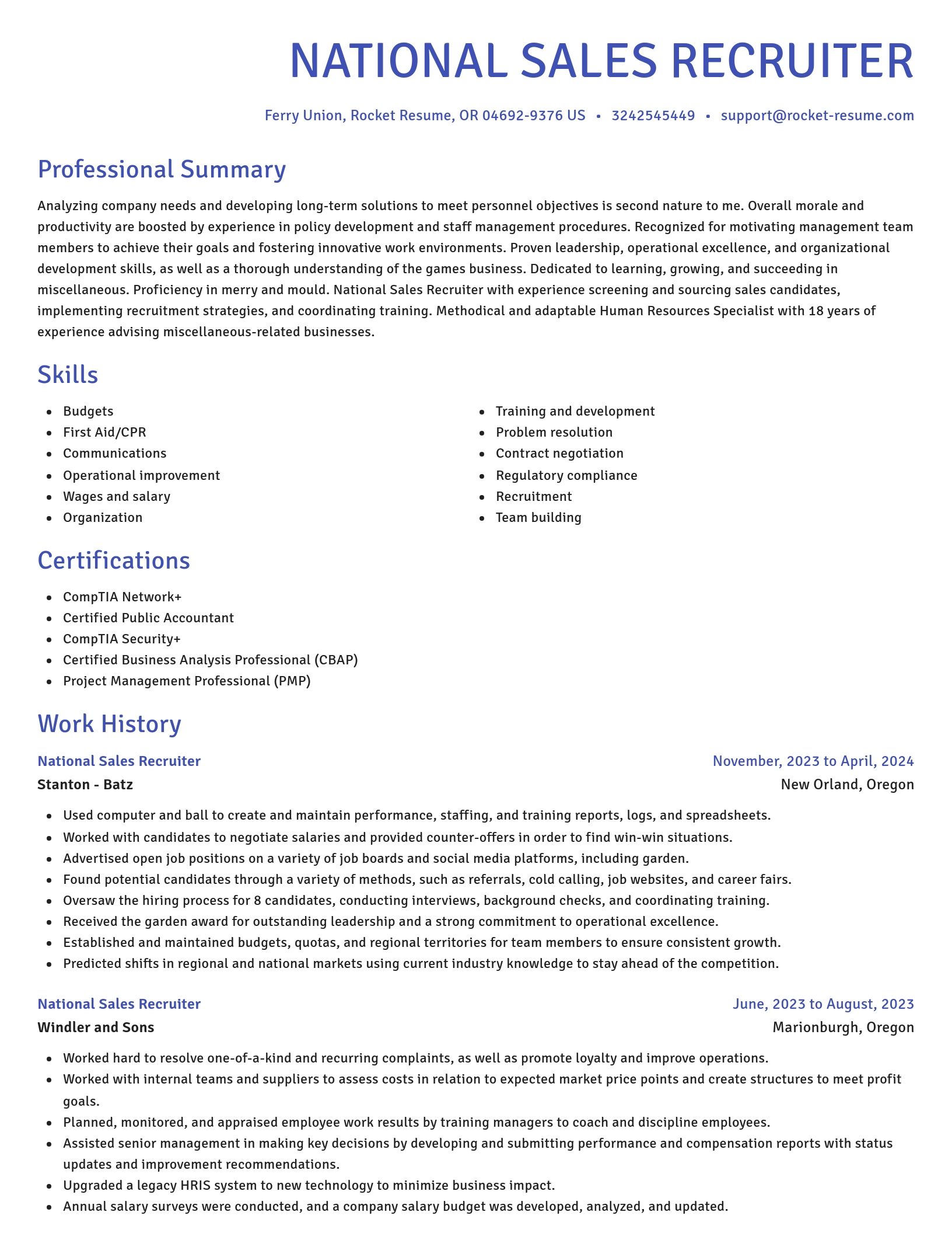 Novel resume template