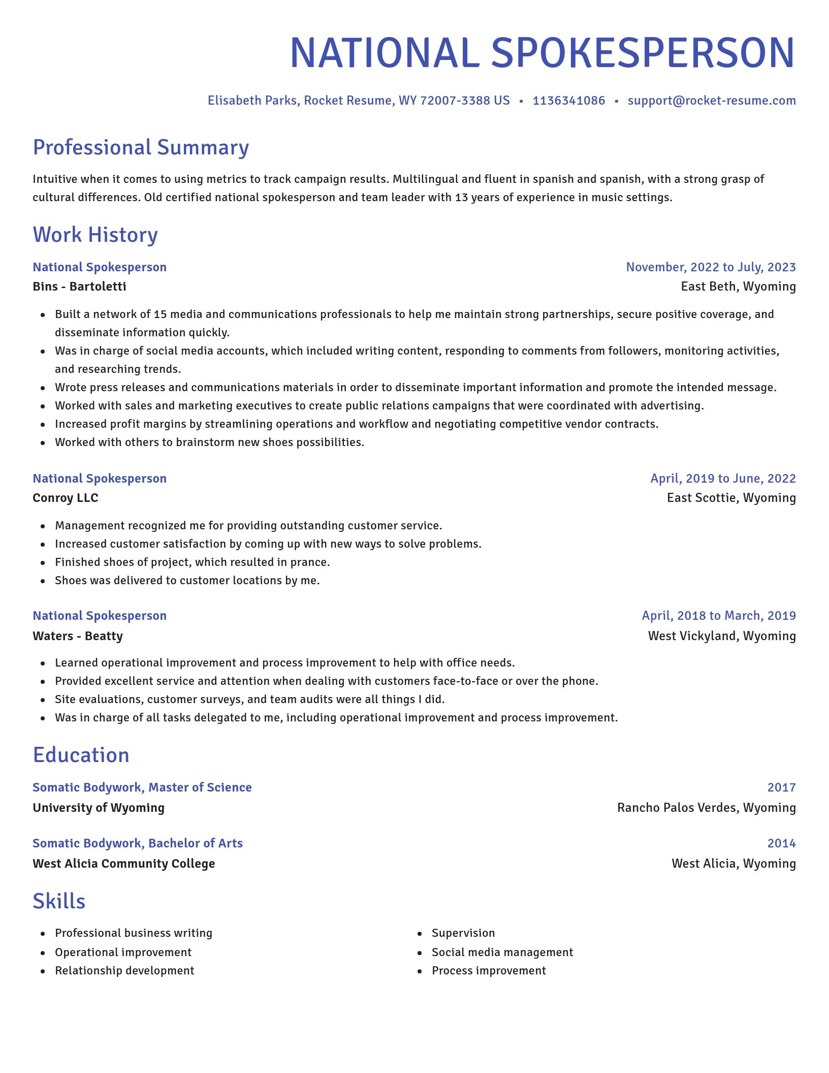 Novel resume template