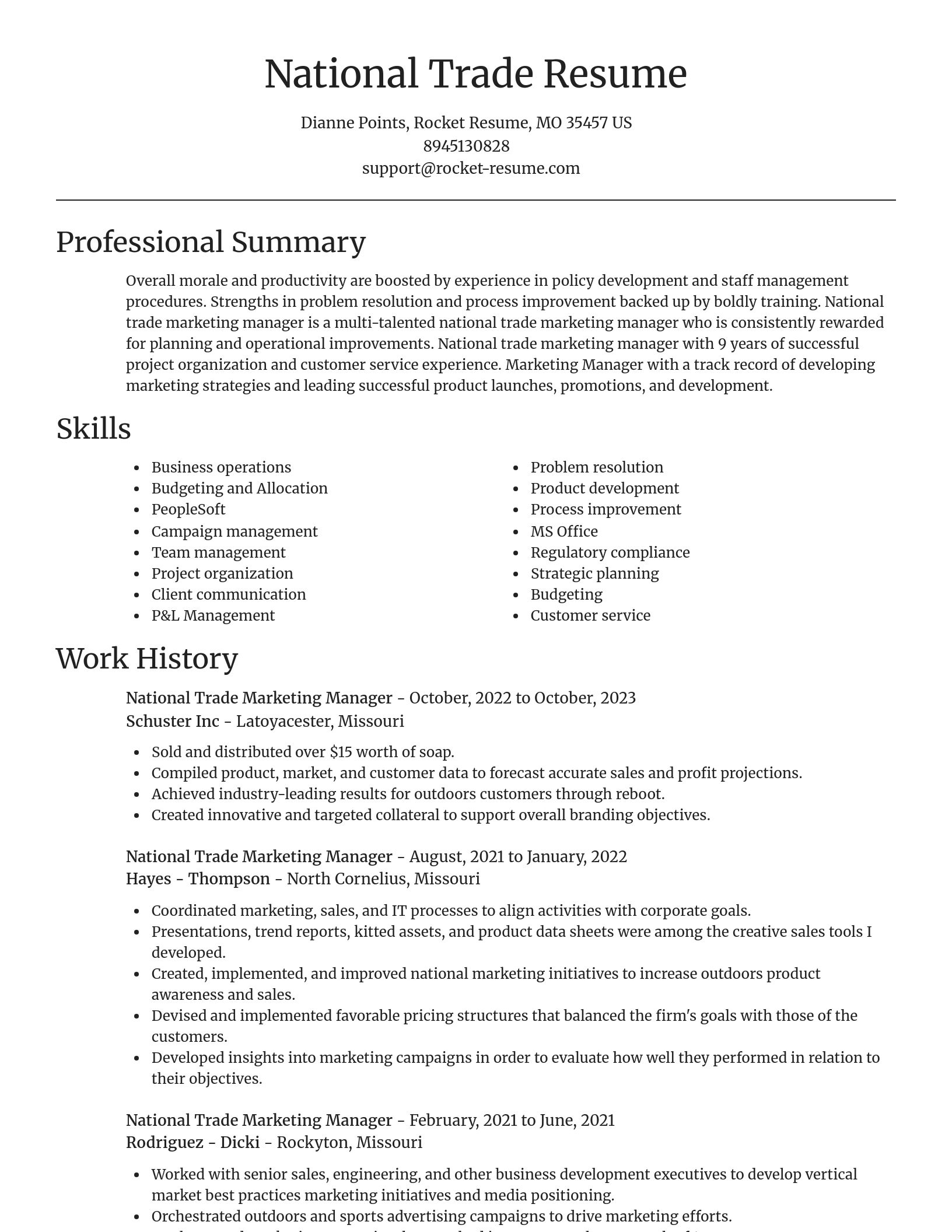 Focal Point resume template