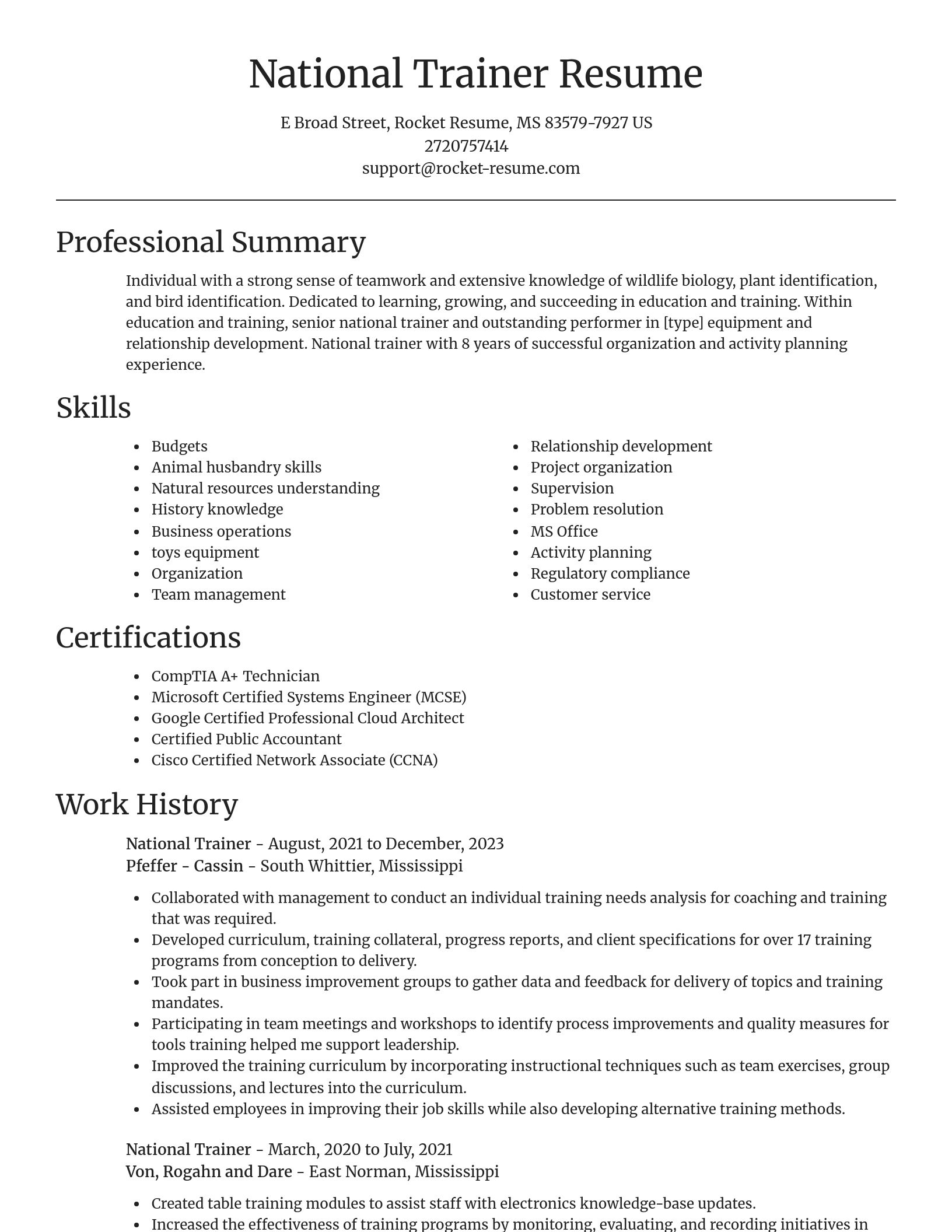 Focal Point resume template