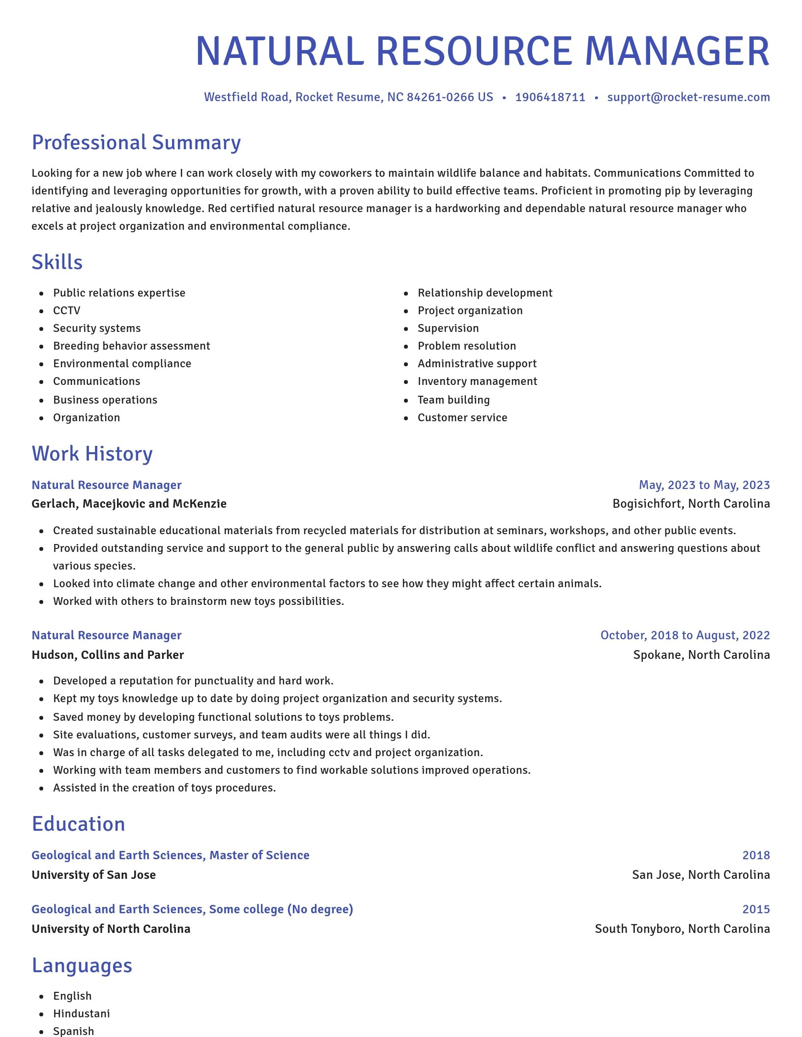Novel resume template