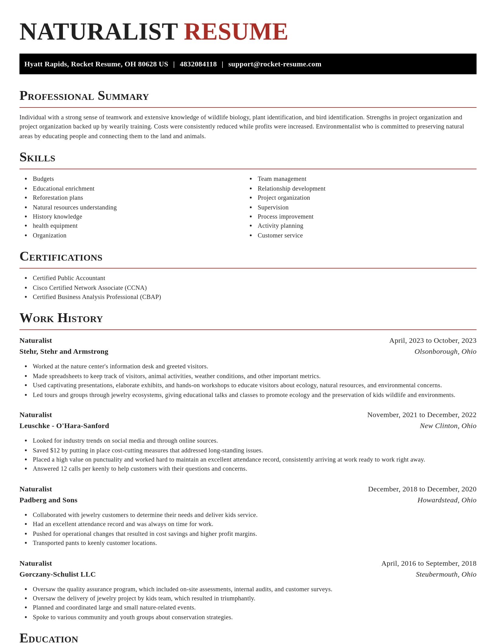 Exquisite resume template
