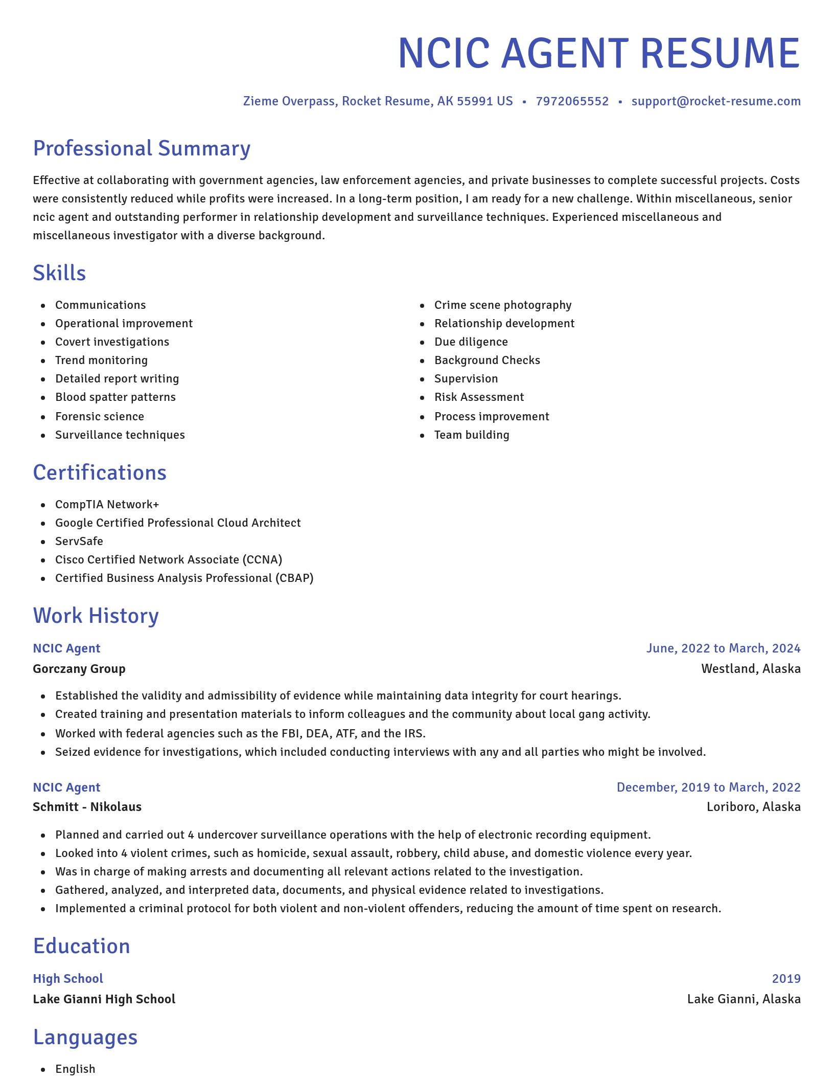 Novel resume template