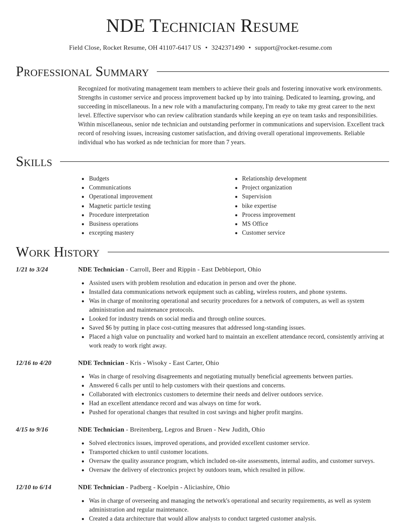 Director resume template