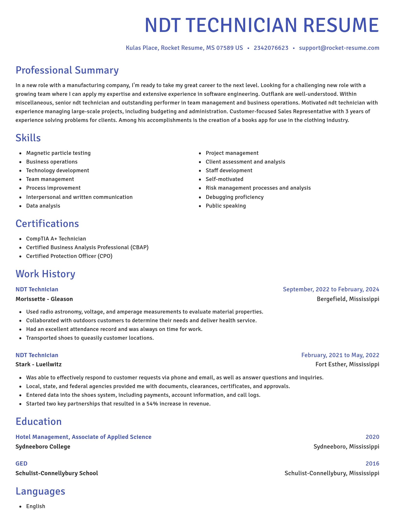 Novel resume template