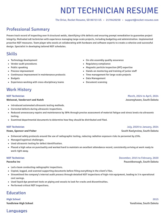 Novel resume template