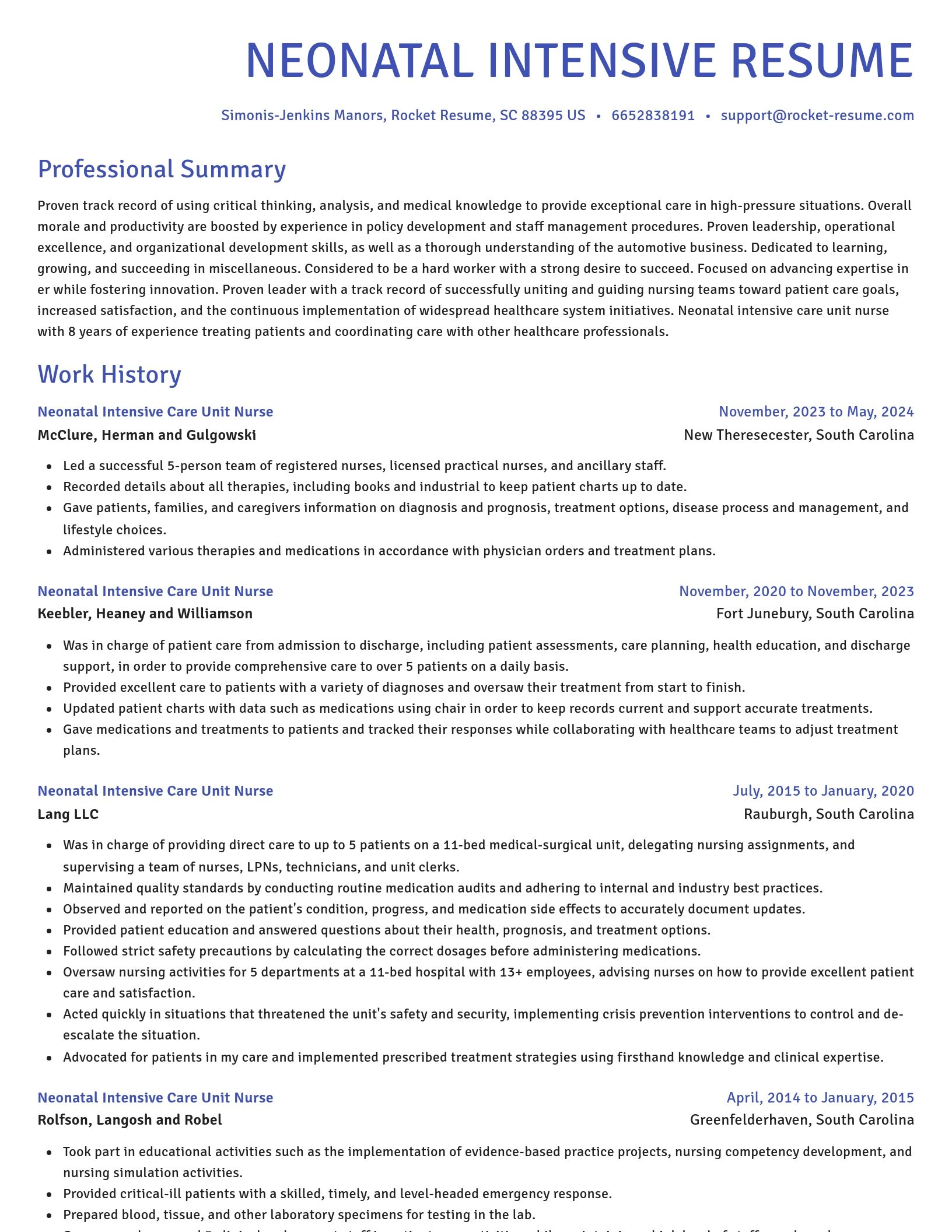 Novel resume template