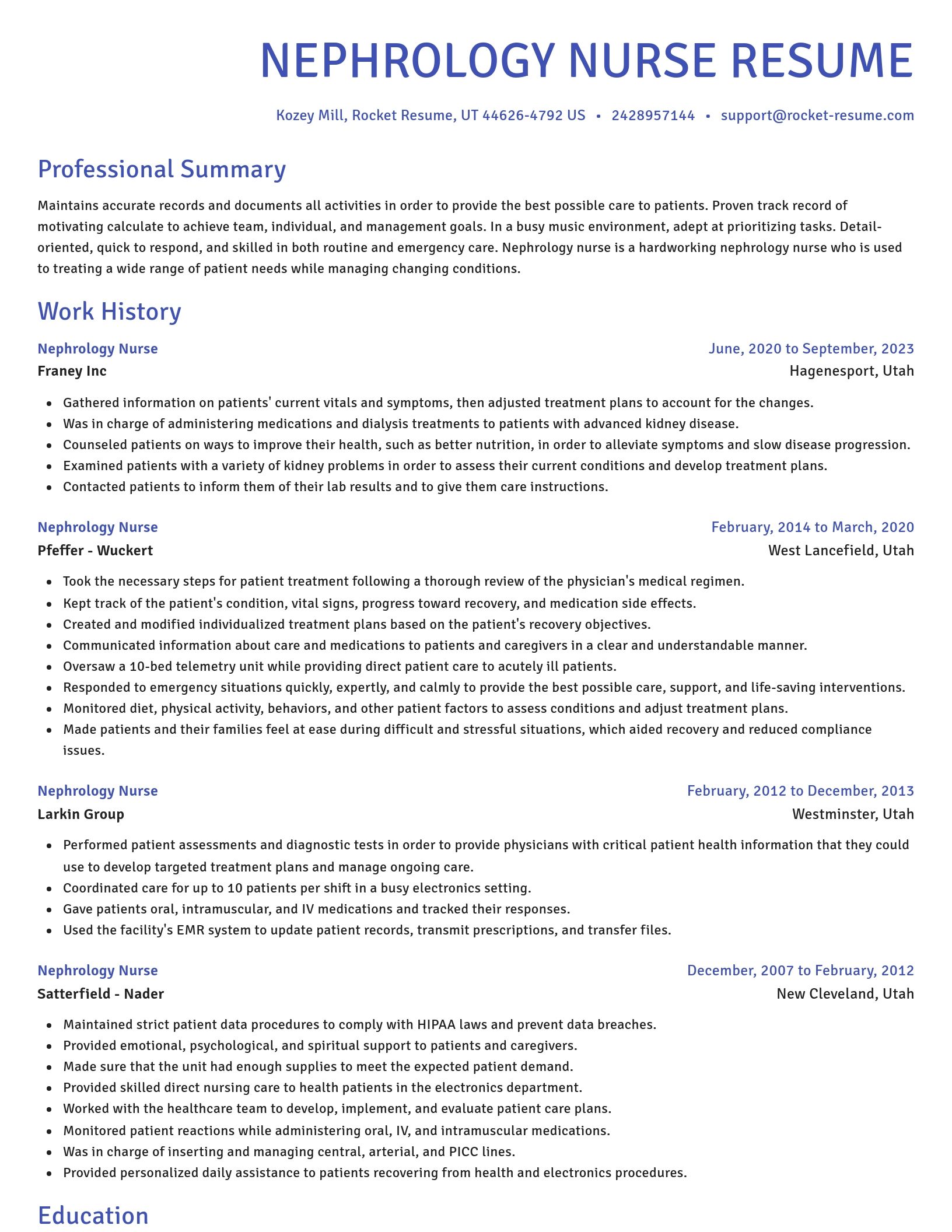 Novel resume template