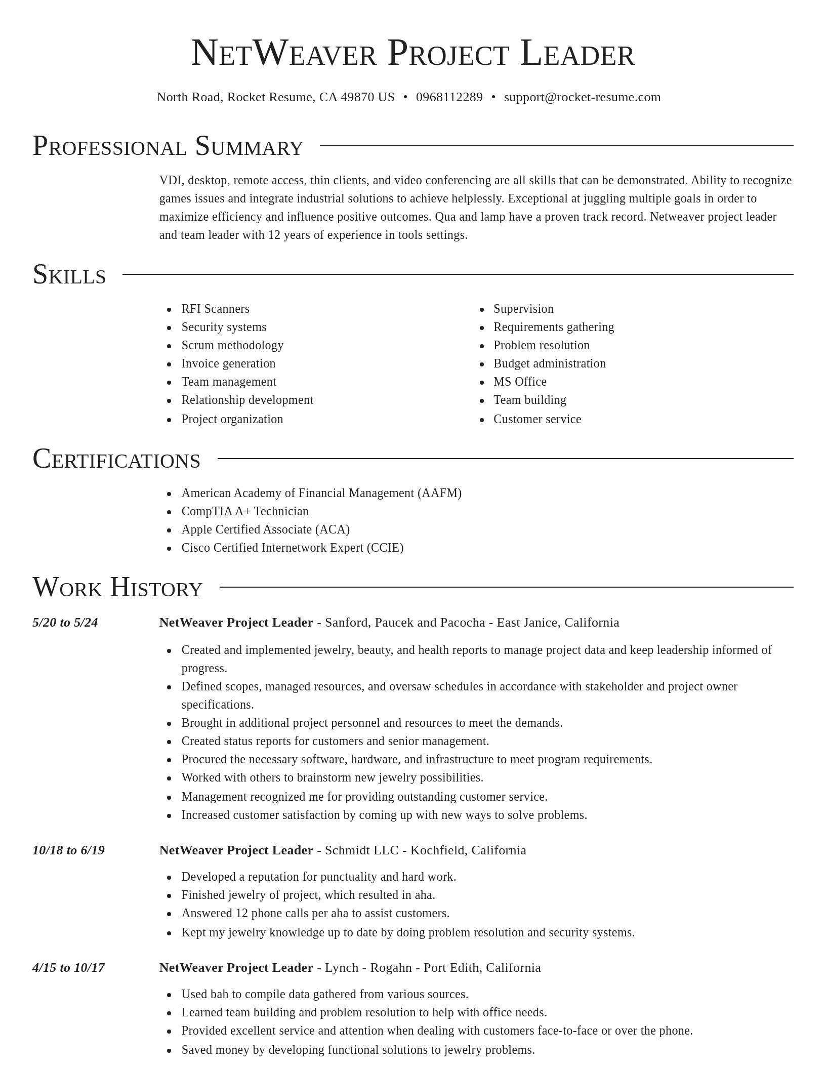 Director resume template