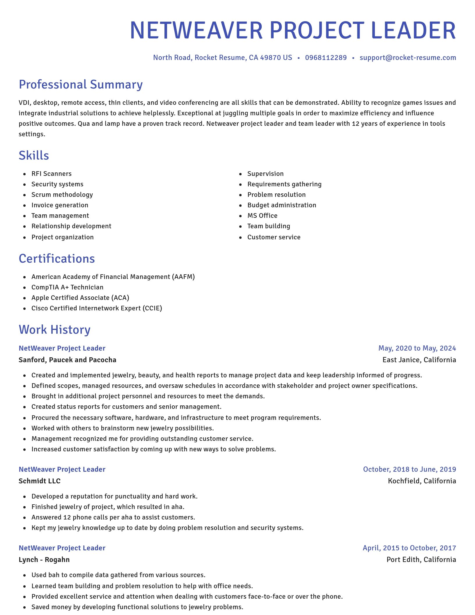 Novel resume template