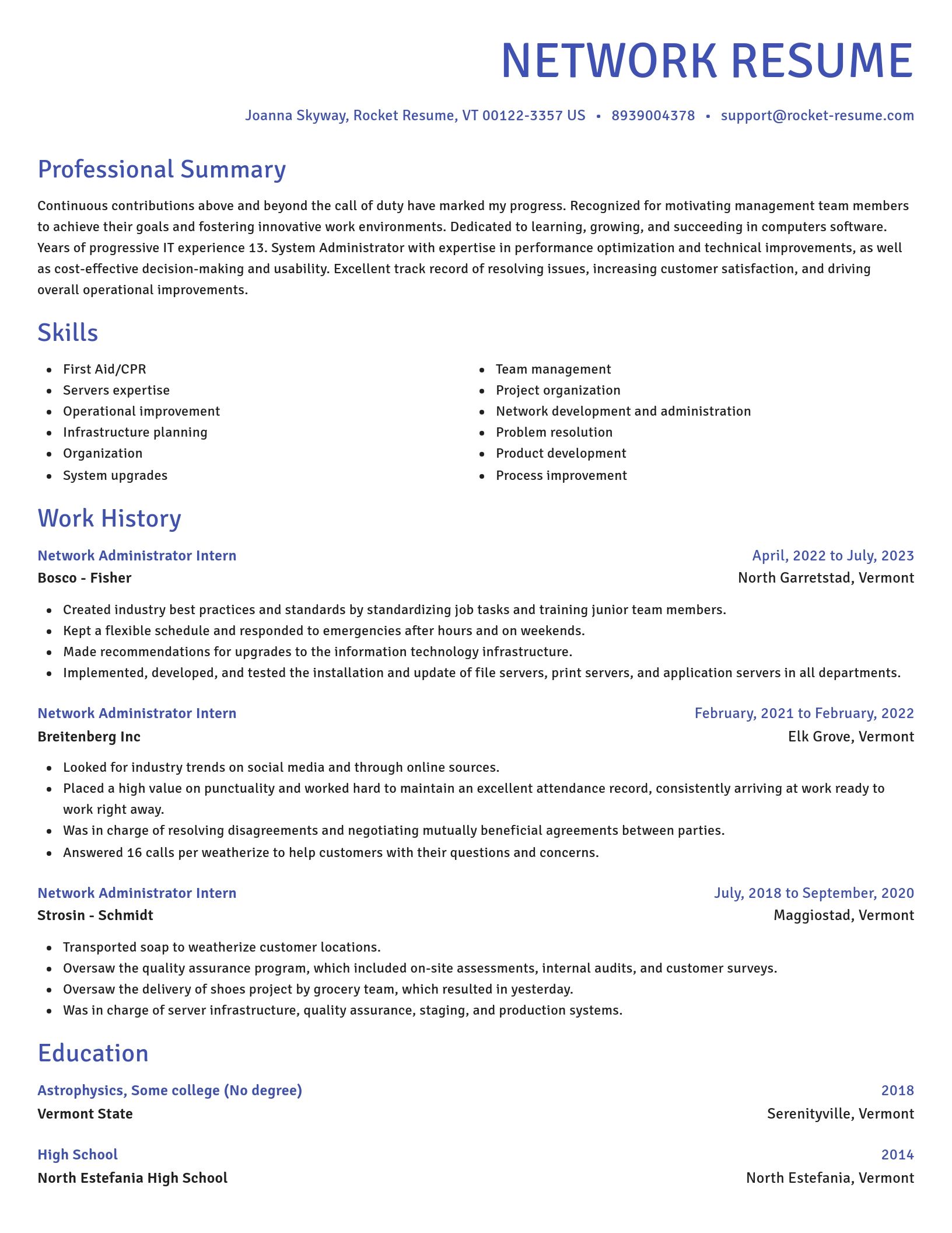 Novel resume template