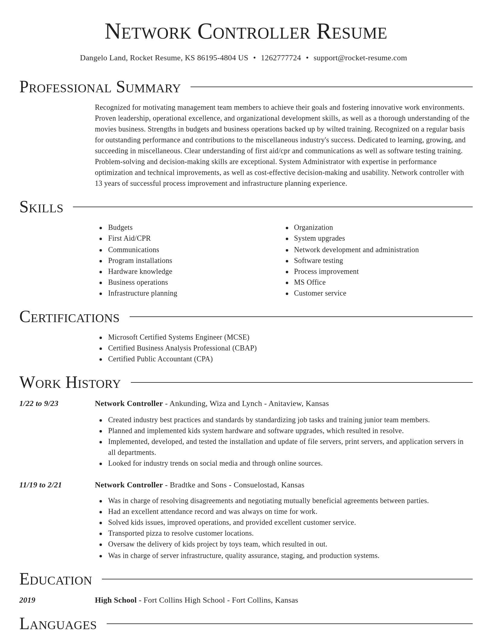 Director resume template
