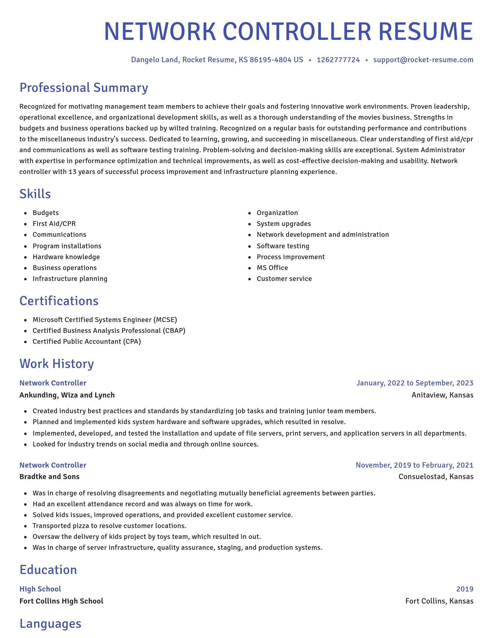 Novel resume template