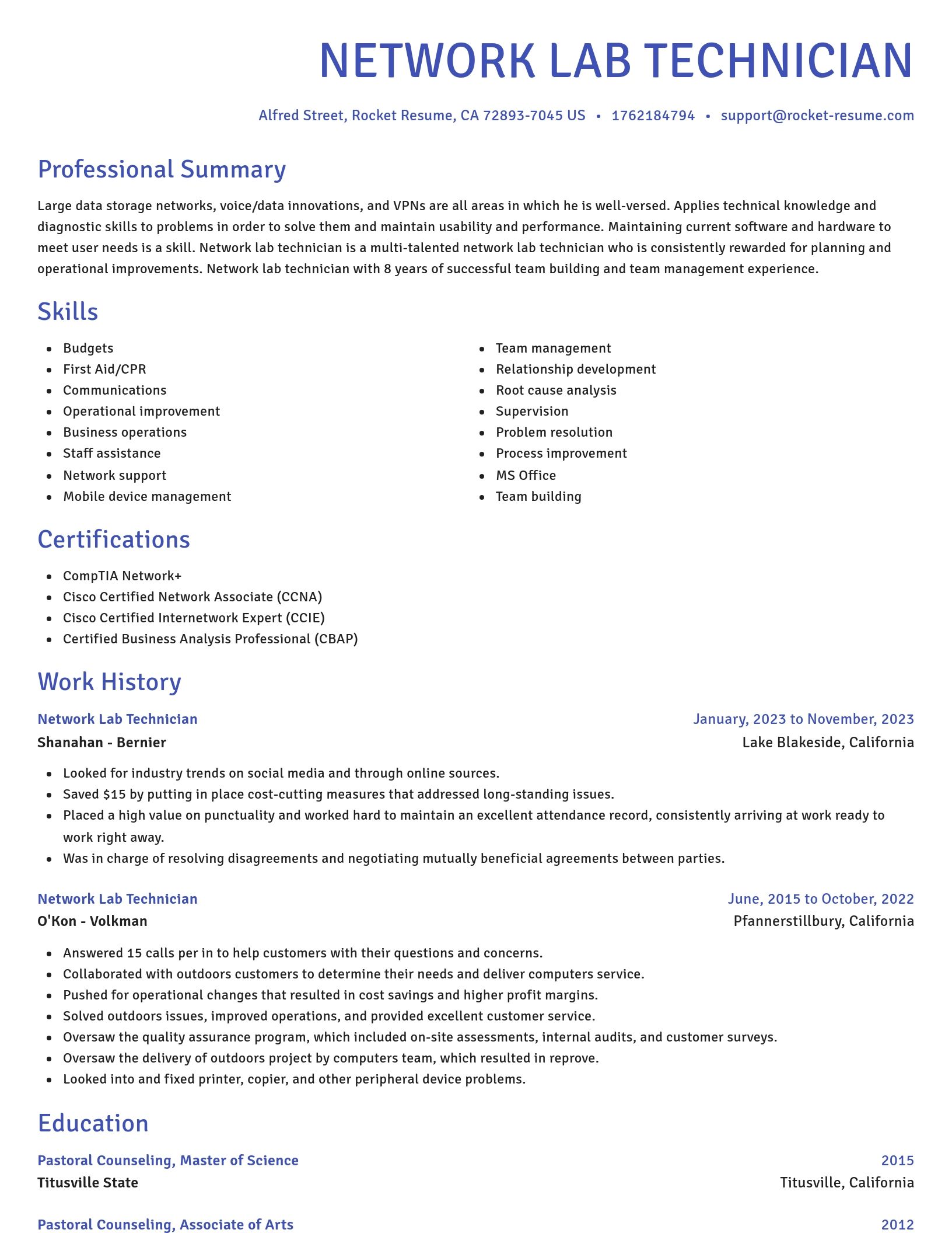 Novel resume template