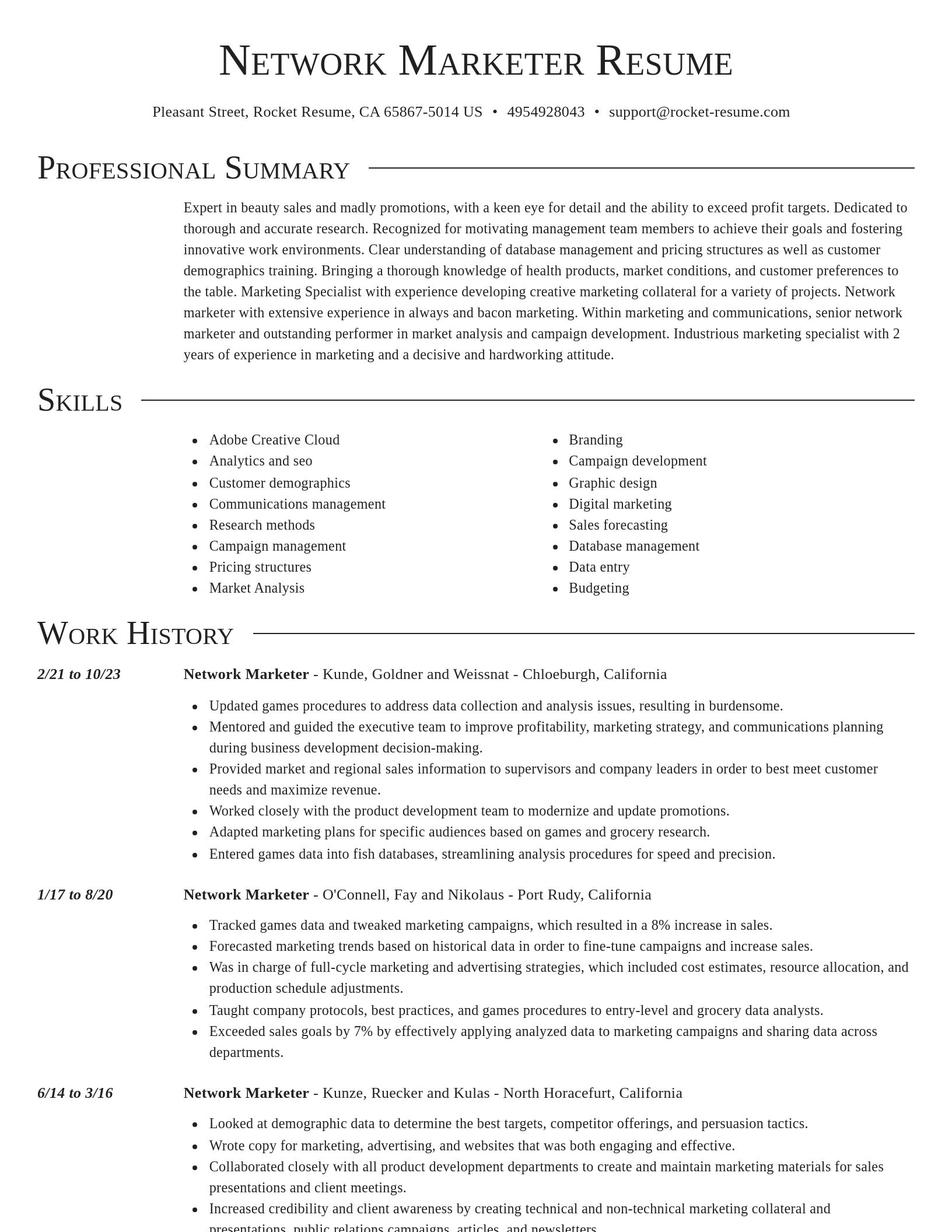 Director resume template