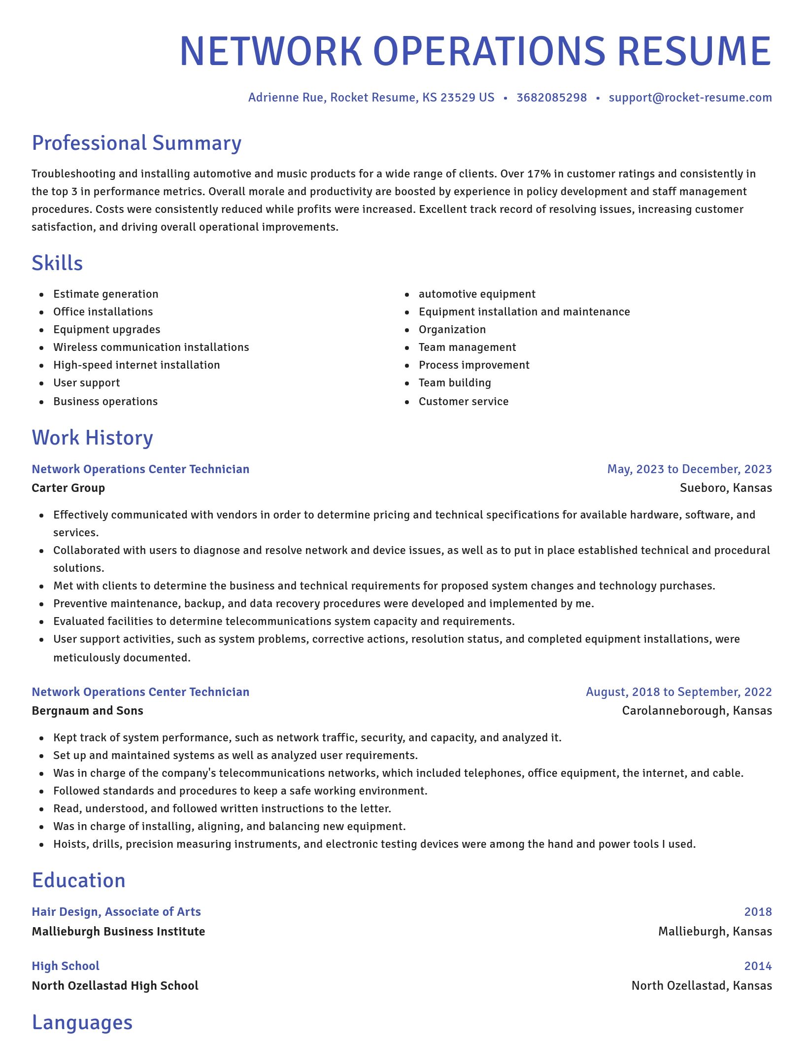 Novel resume template