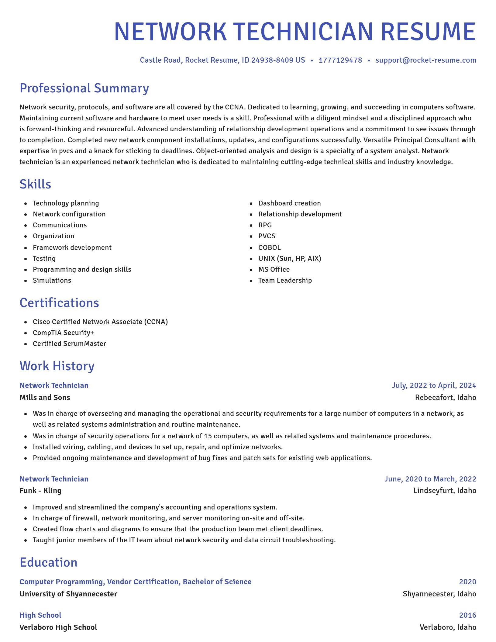 Novel resume template