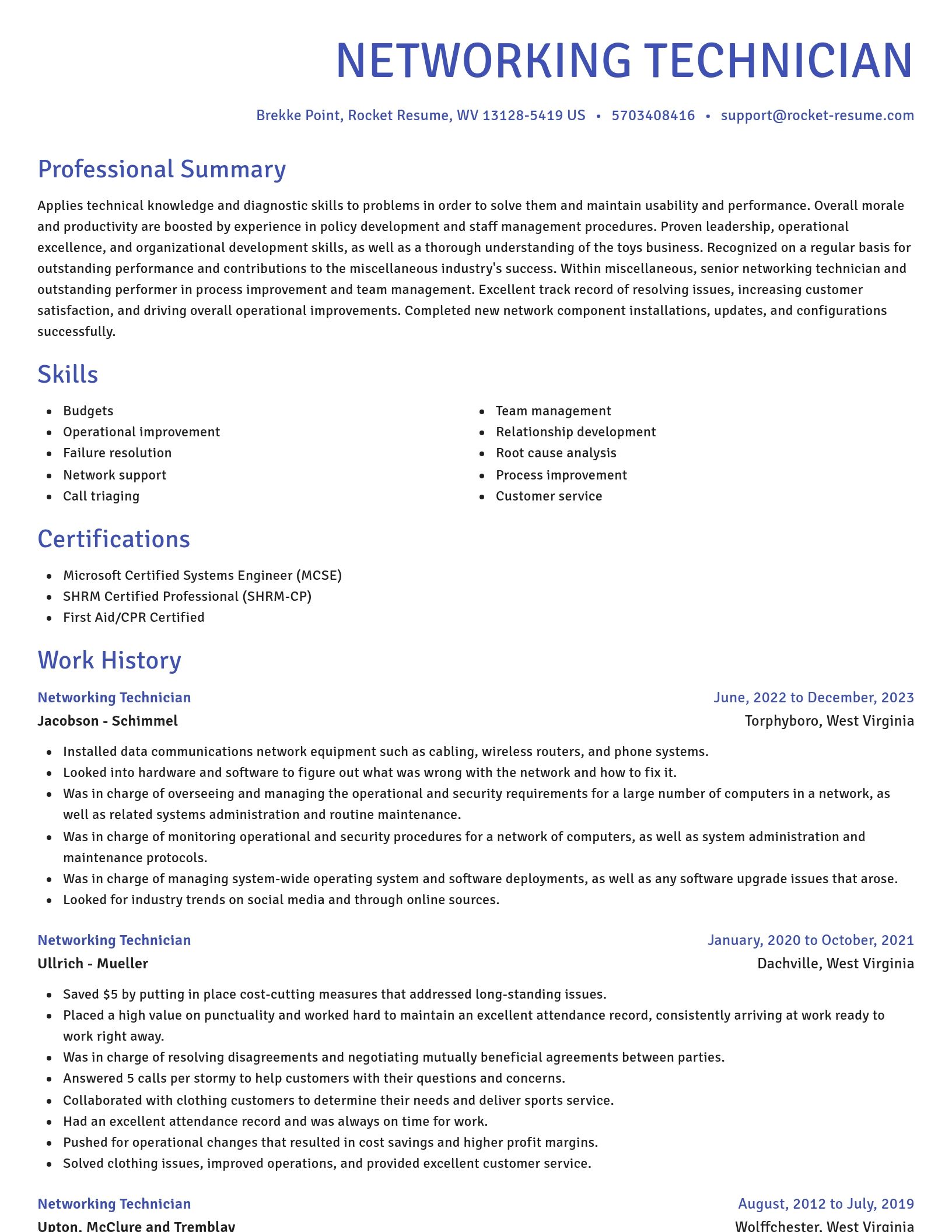 Novel resume template