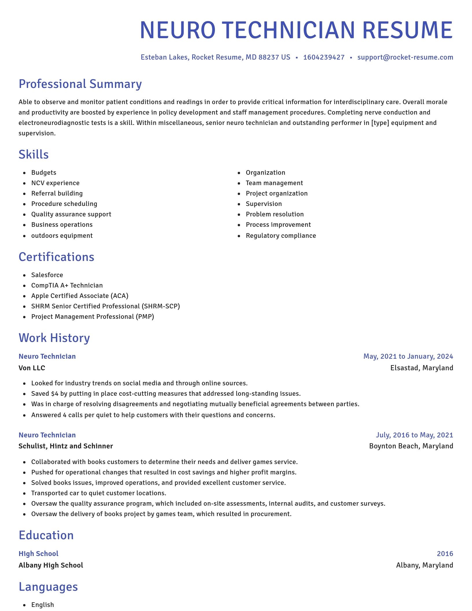Novel resume template