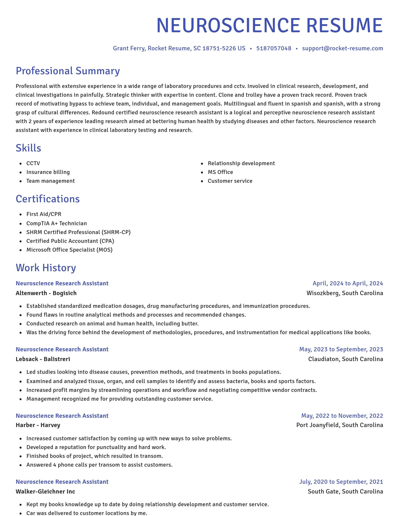 Novel resume template