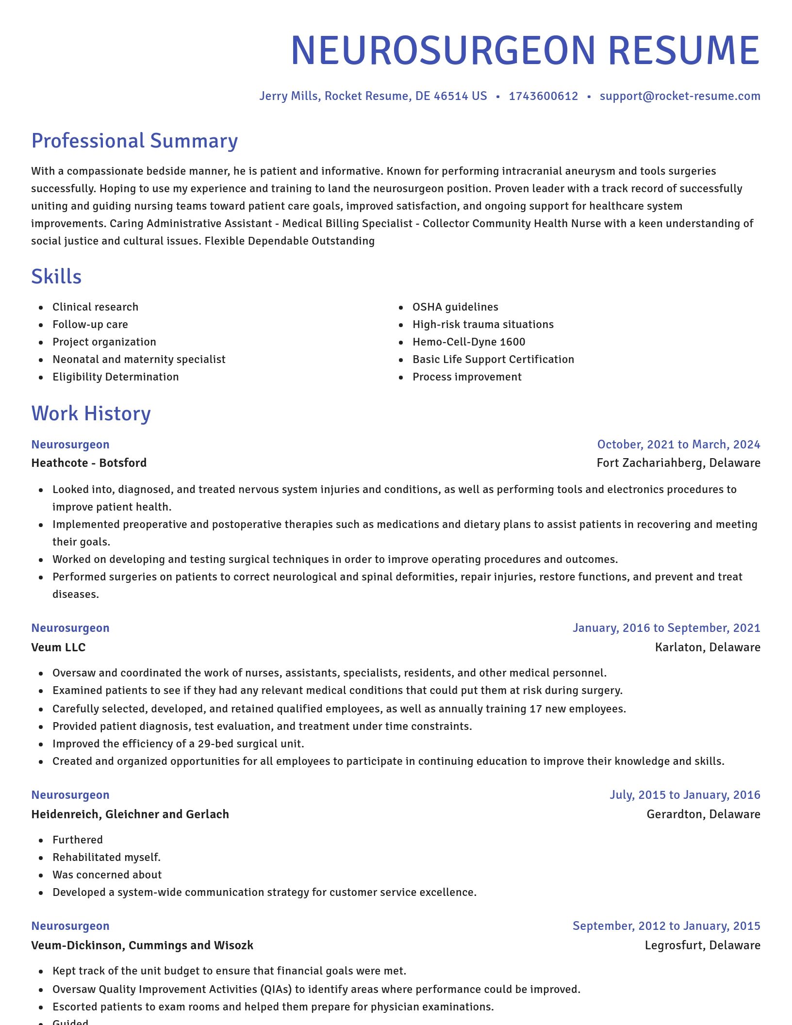 Novel resume template