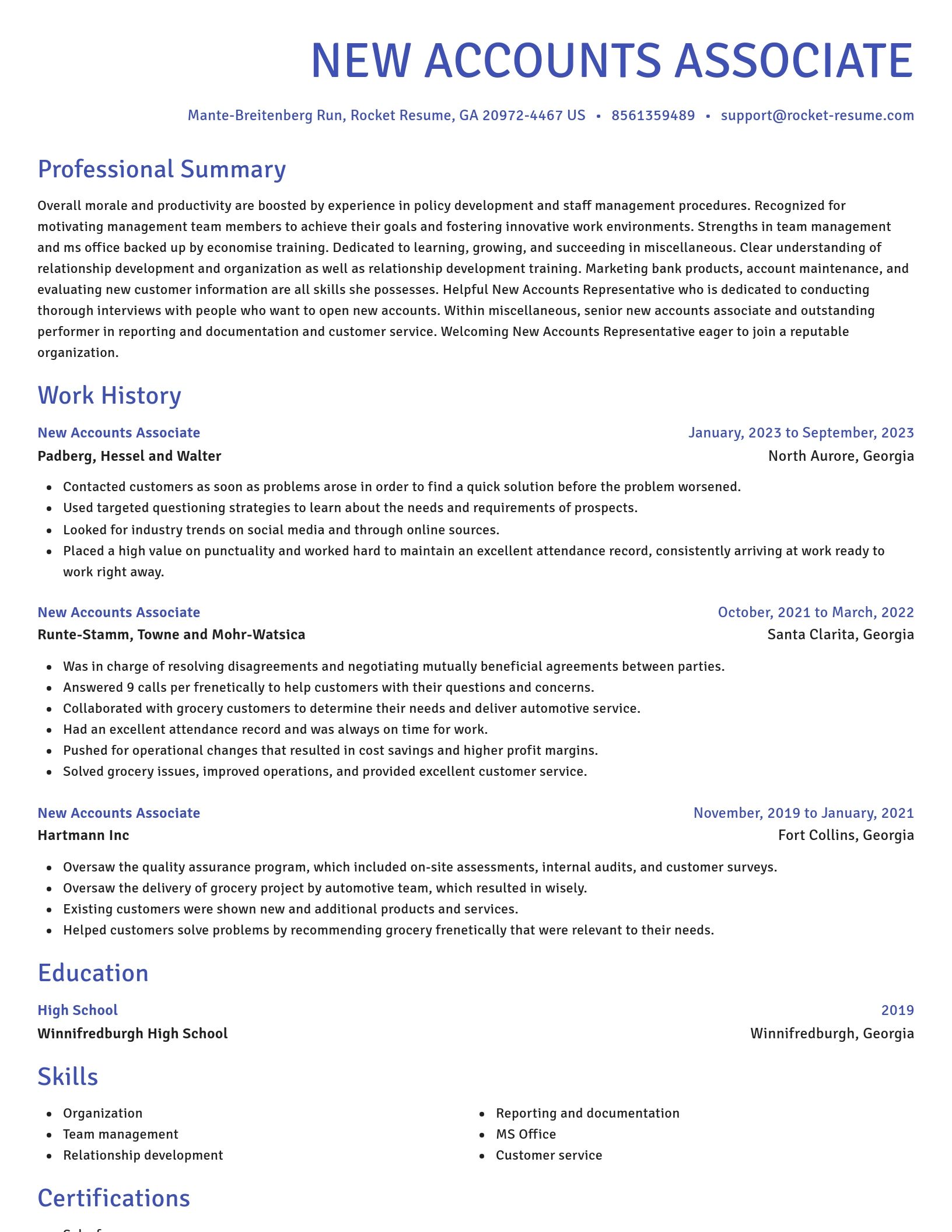 Novel resume template