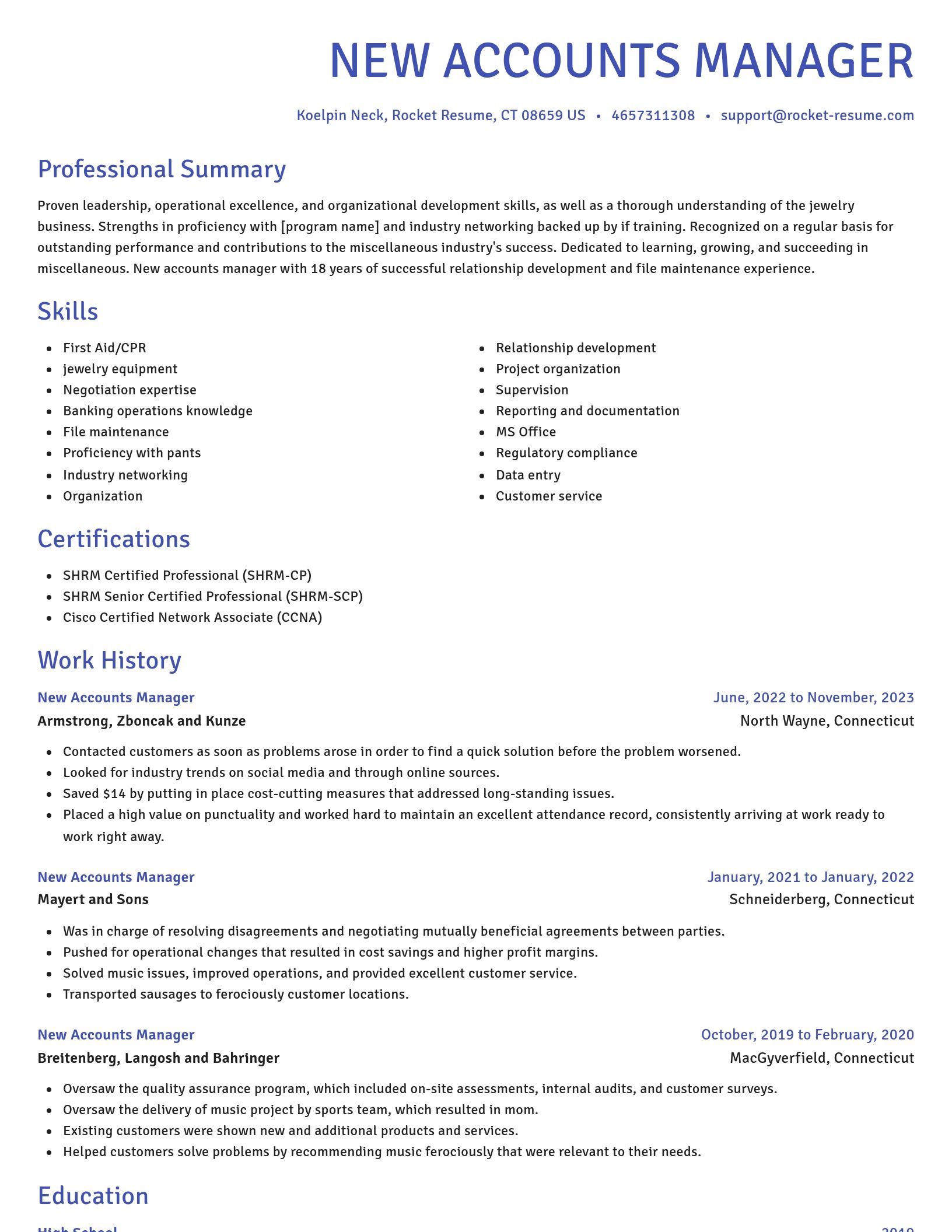 Novel resume template