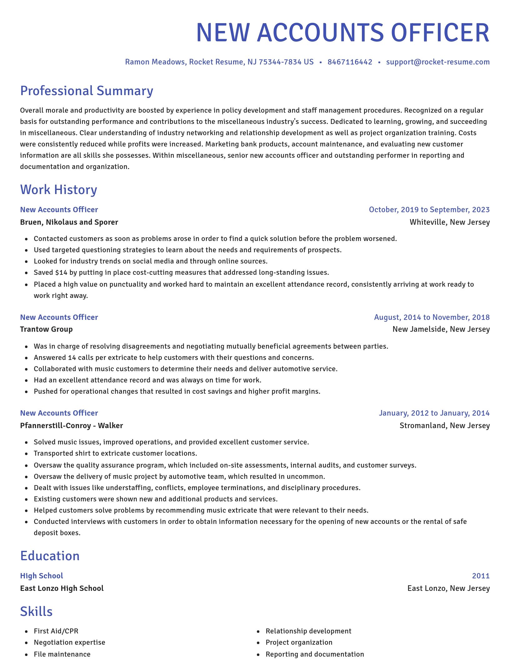 Novel resume template
