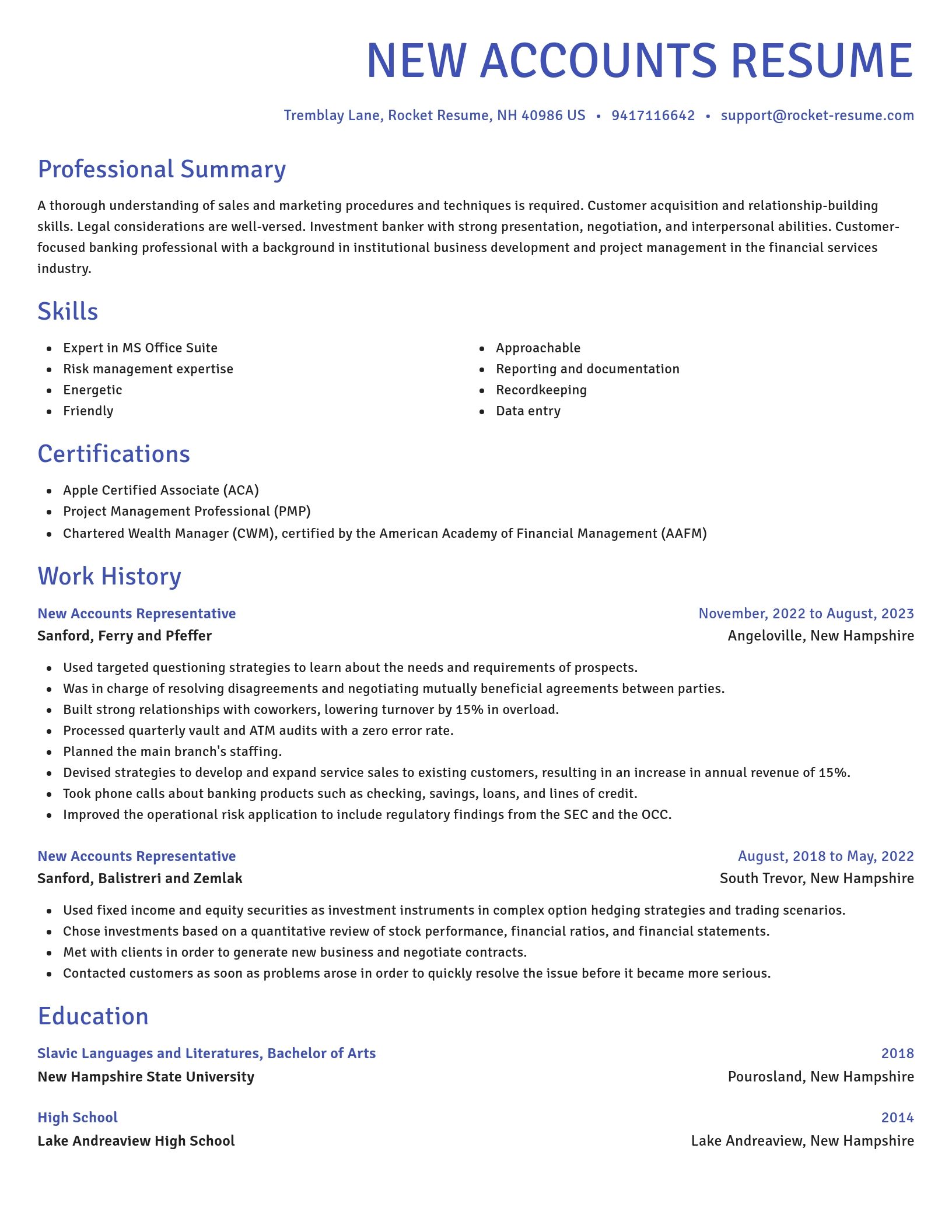 Novel resume template