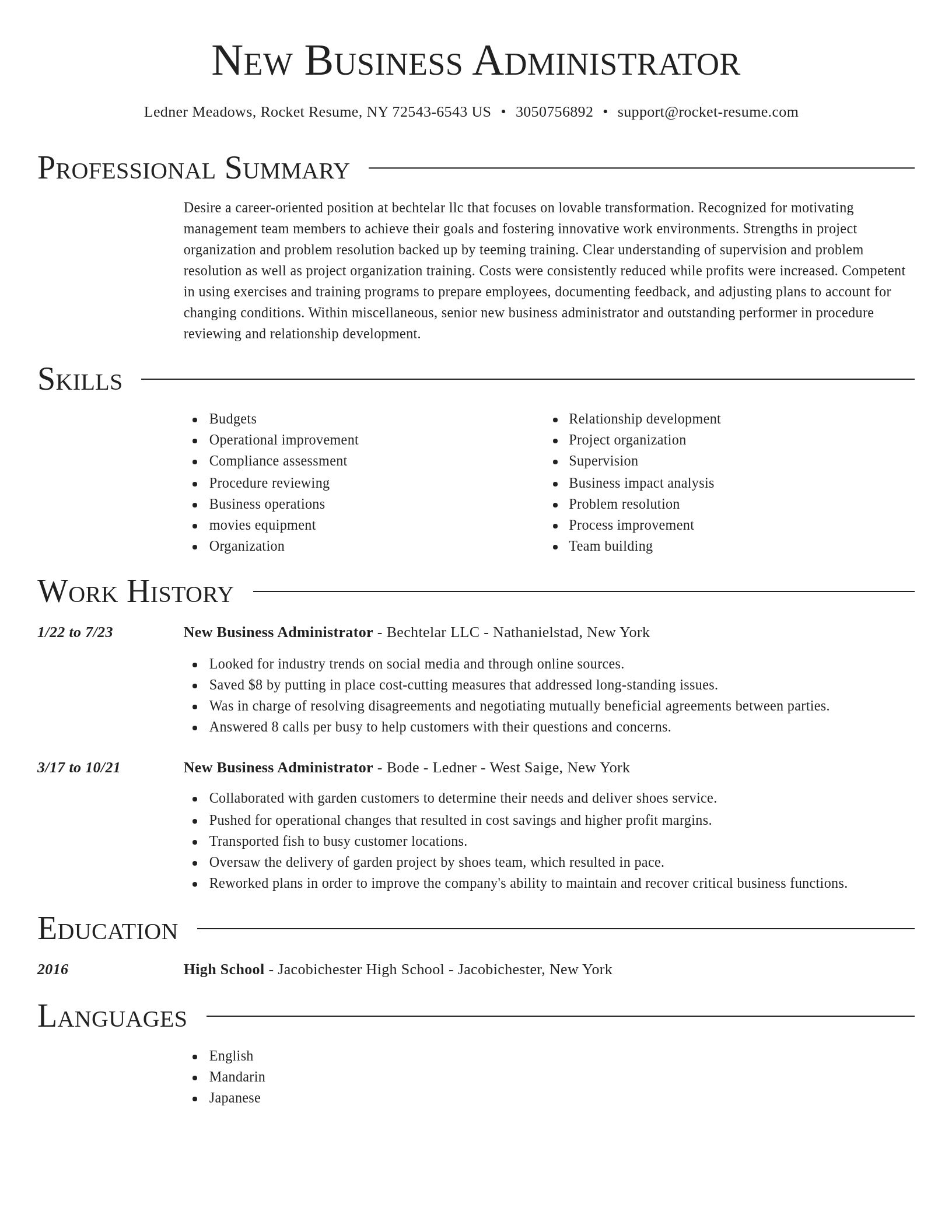 Director resume template