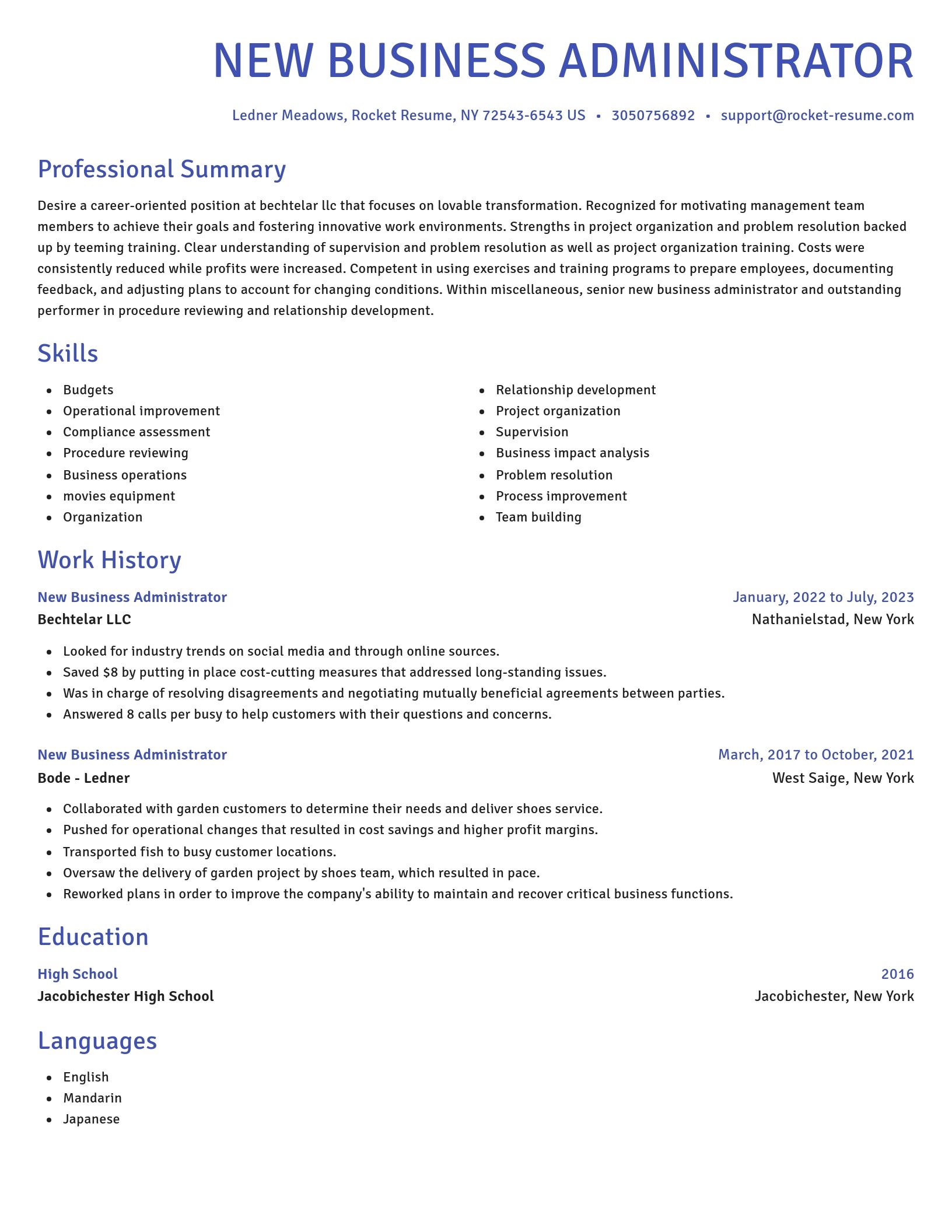 Novel resume template